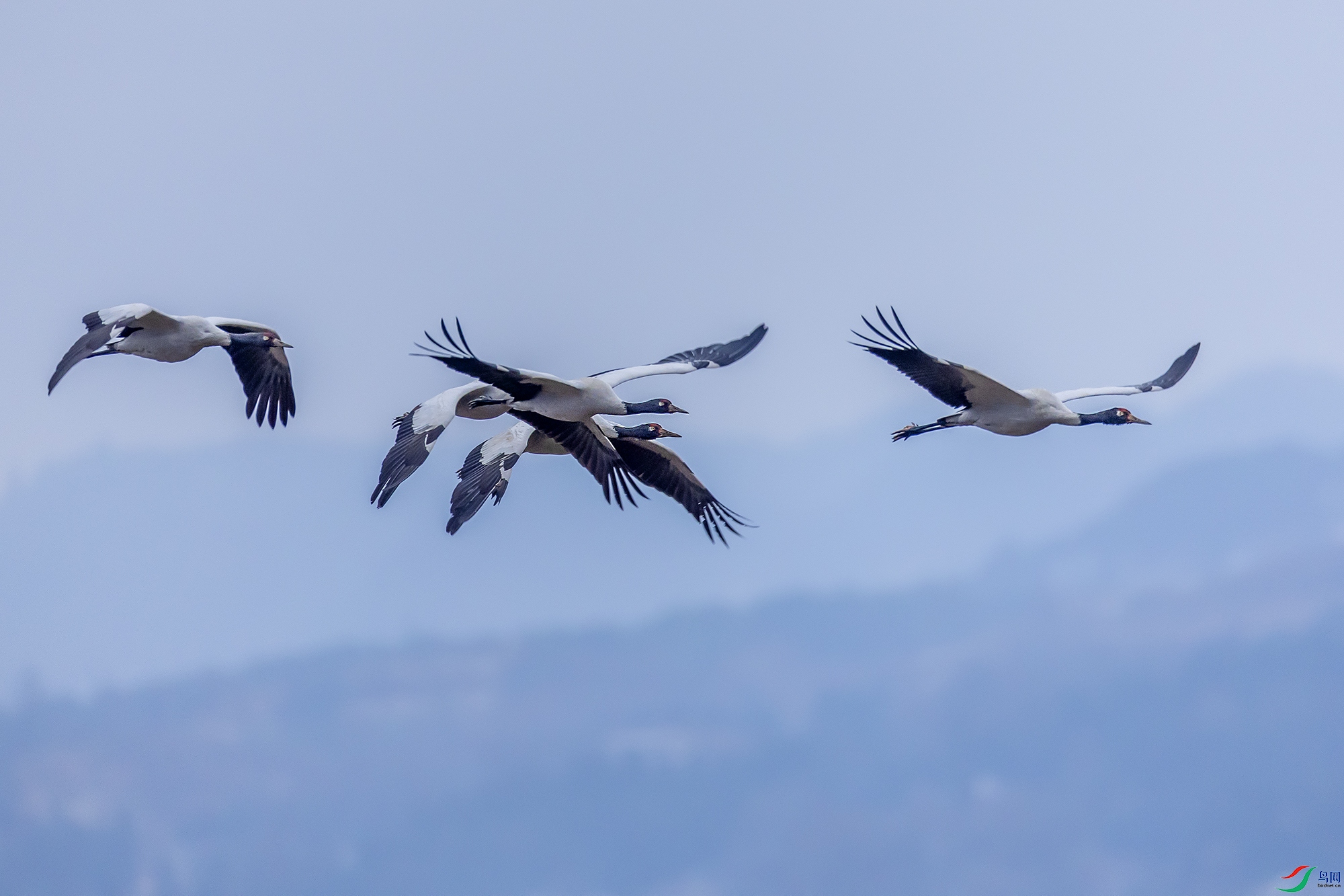 0F7A7150 ����.jpg