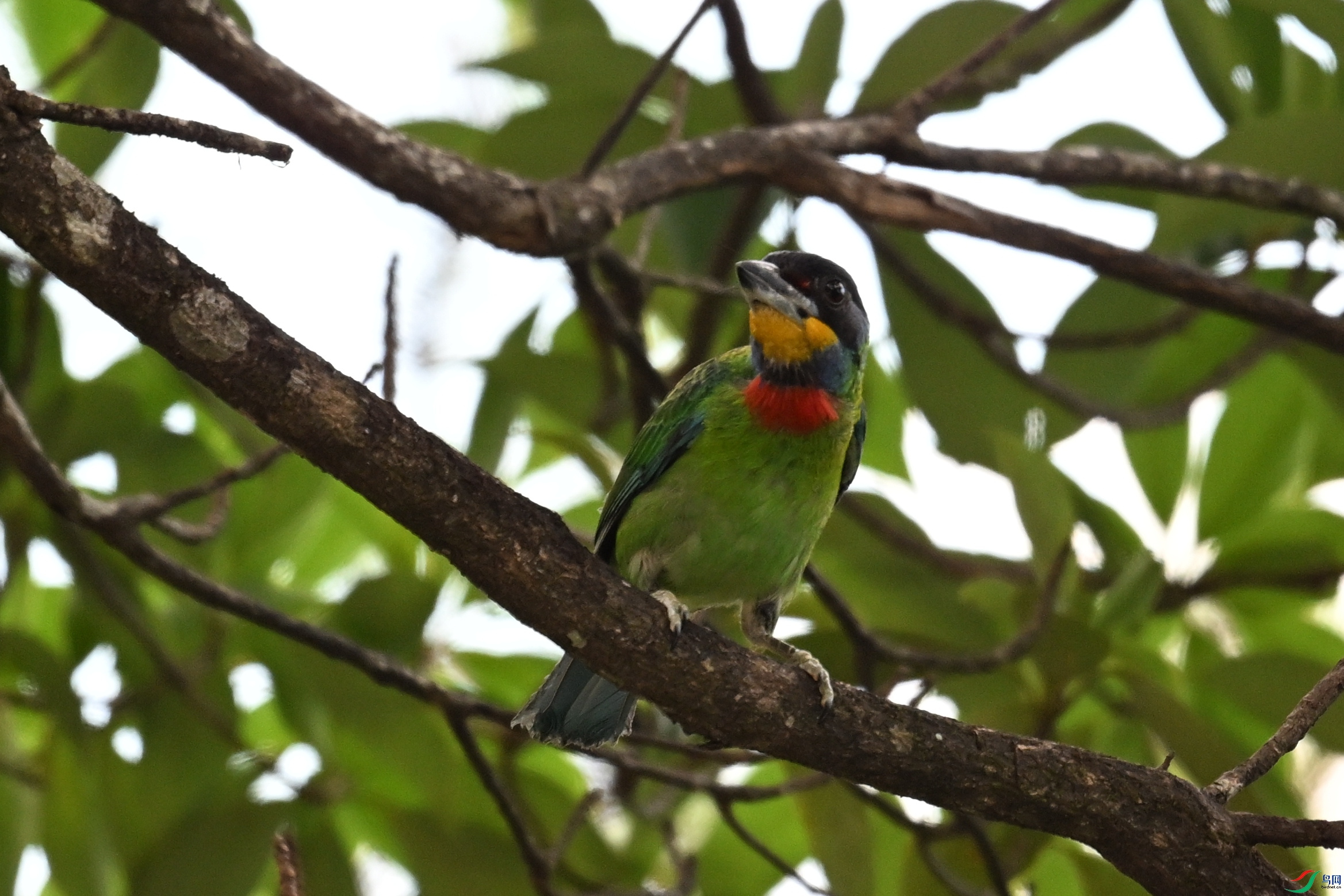DSC_1735.JPG
