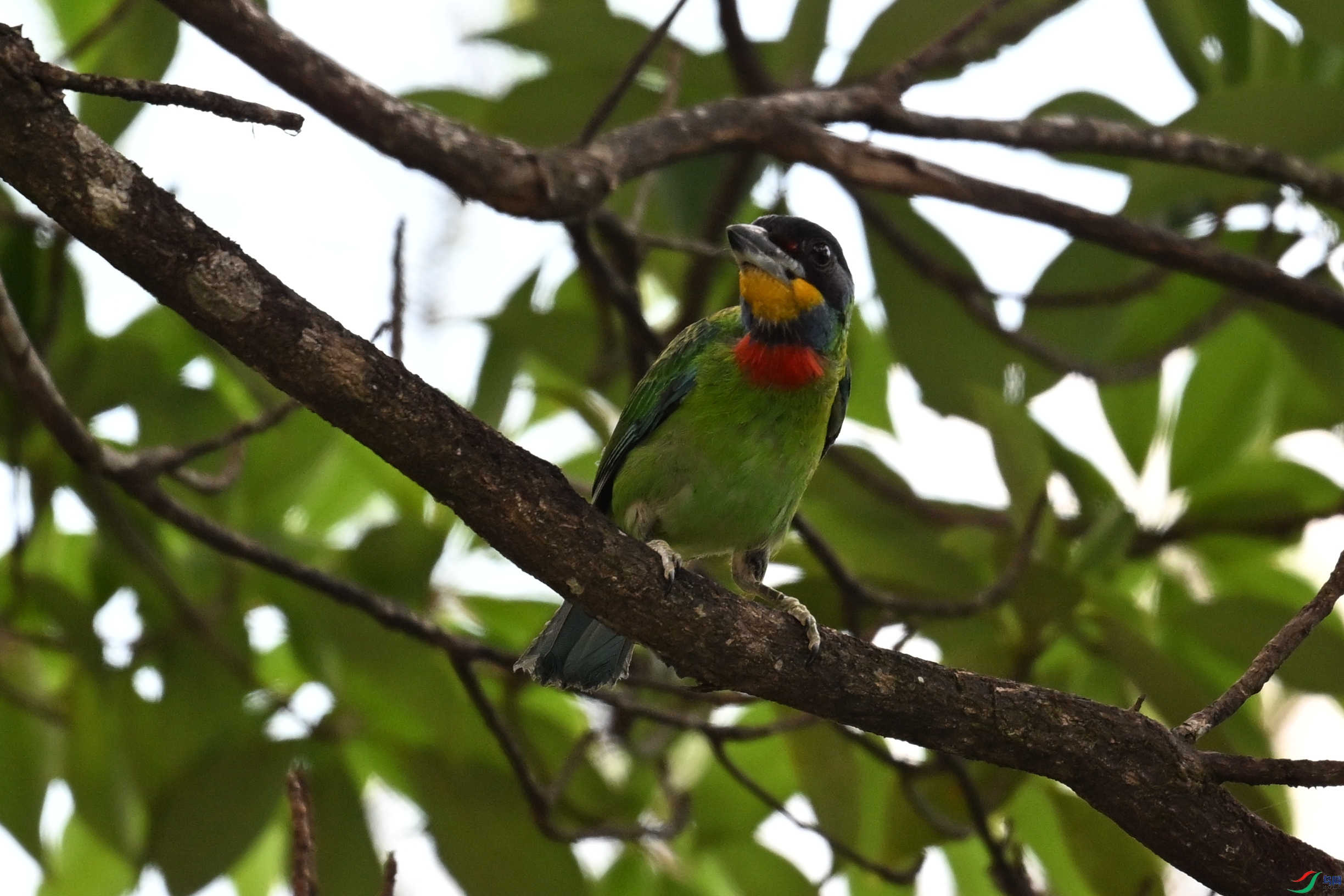 DSC_1736.JPG