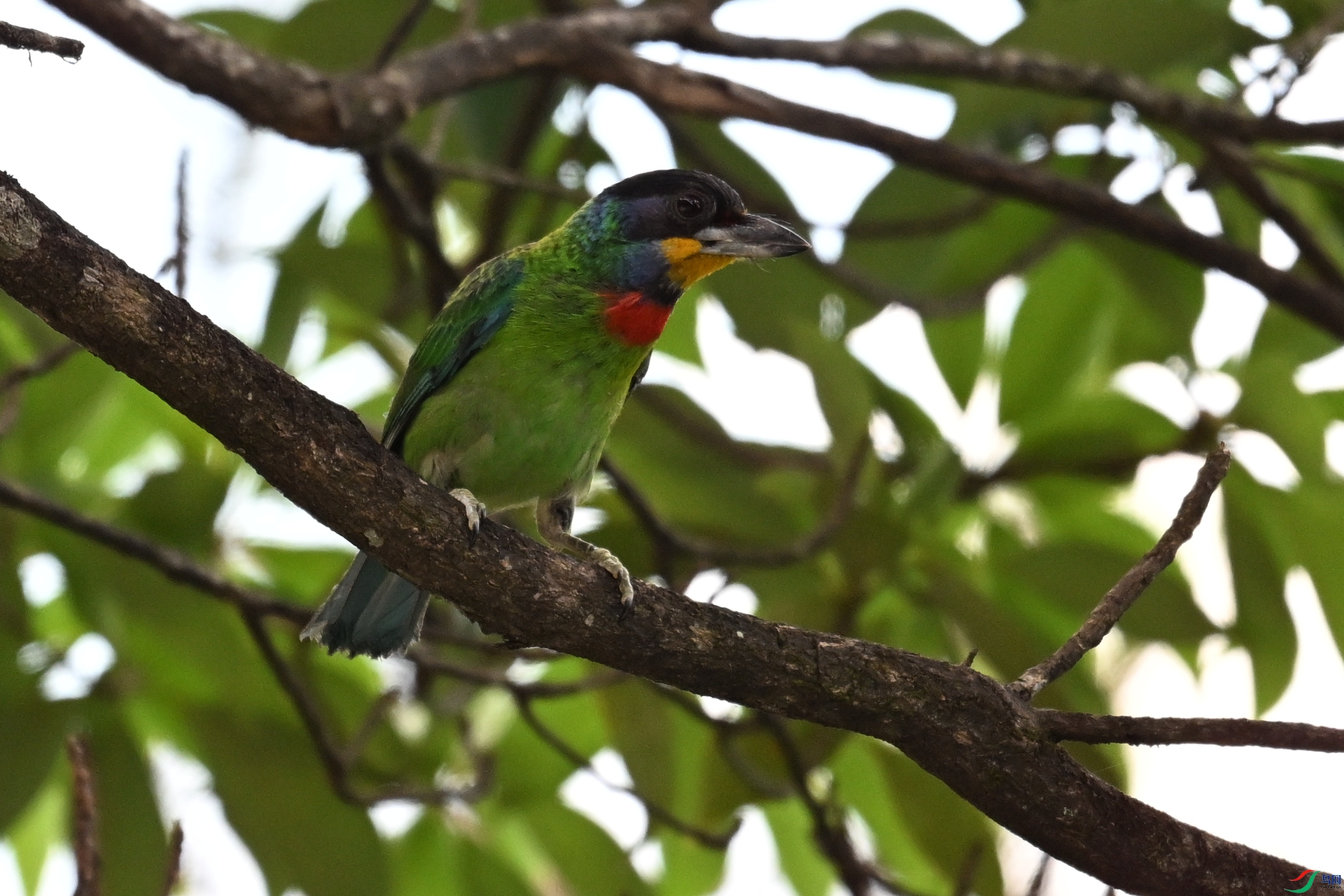 DSC_1738.JPG