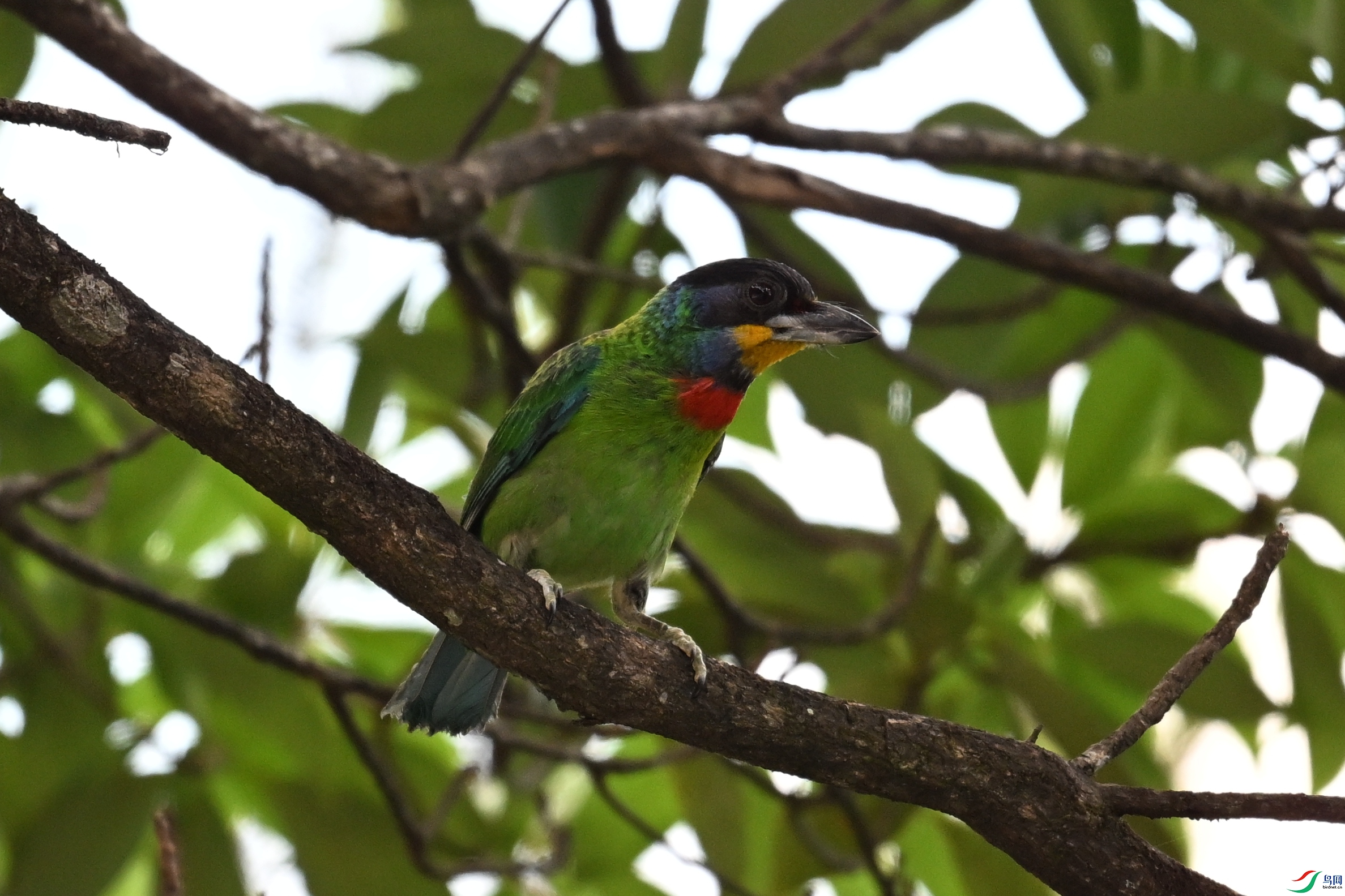 DSC_1739.JPG