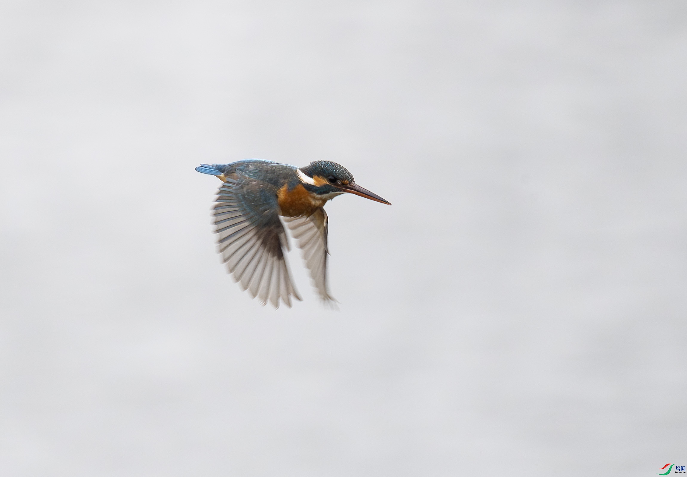 G47A2709-����ǿ-NR ����.jpg