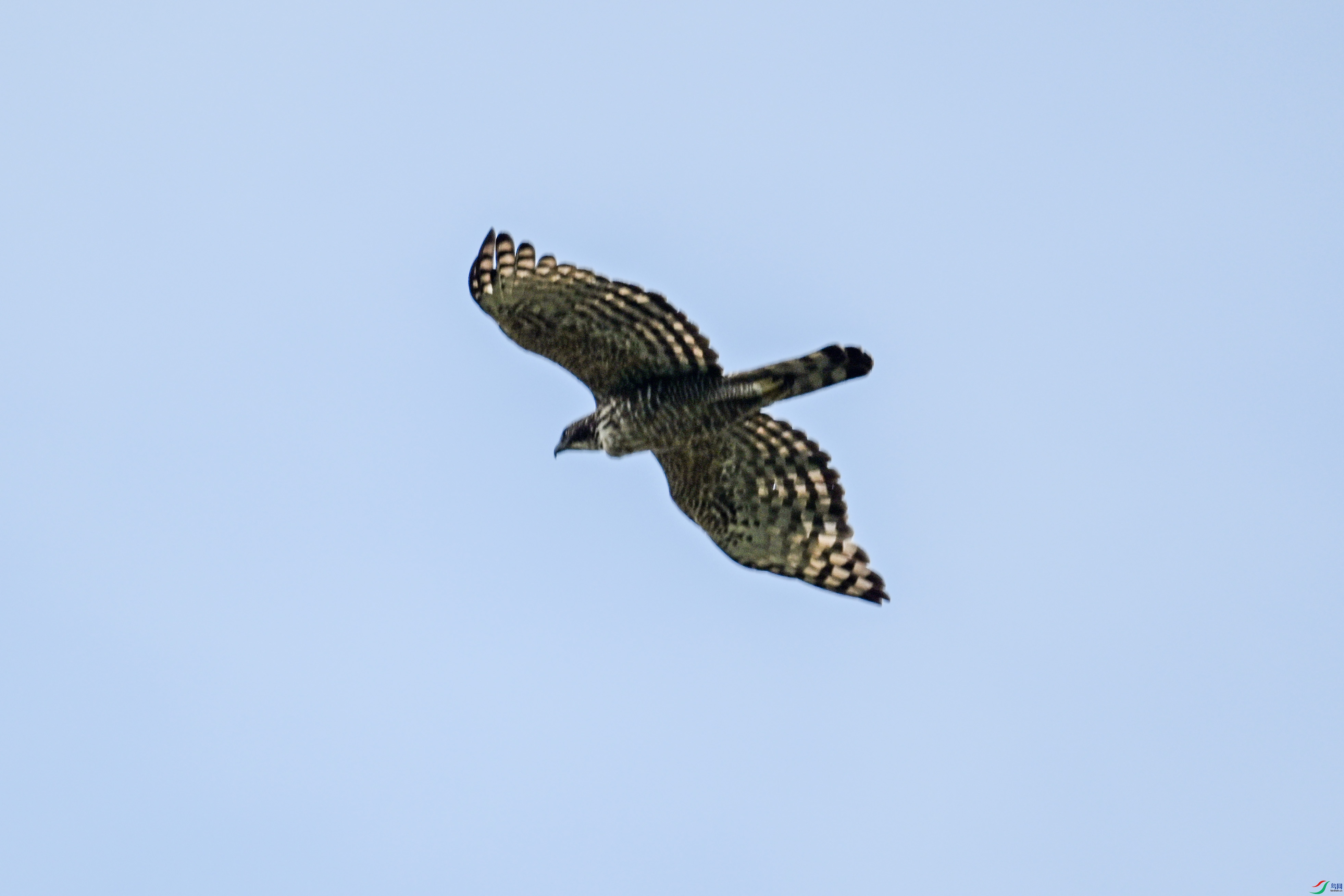 DSC_1789.JPG