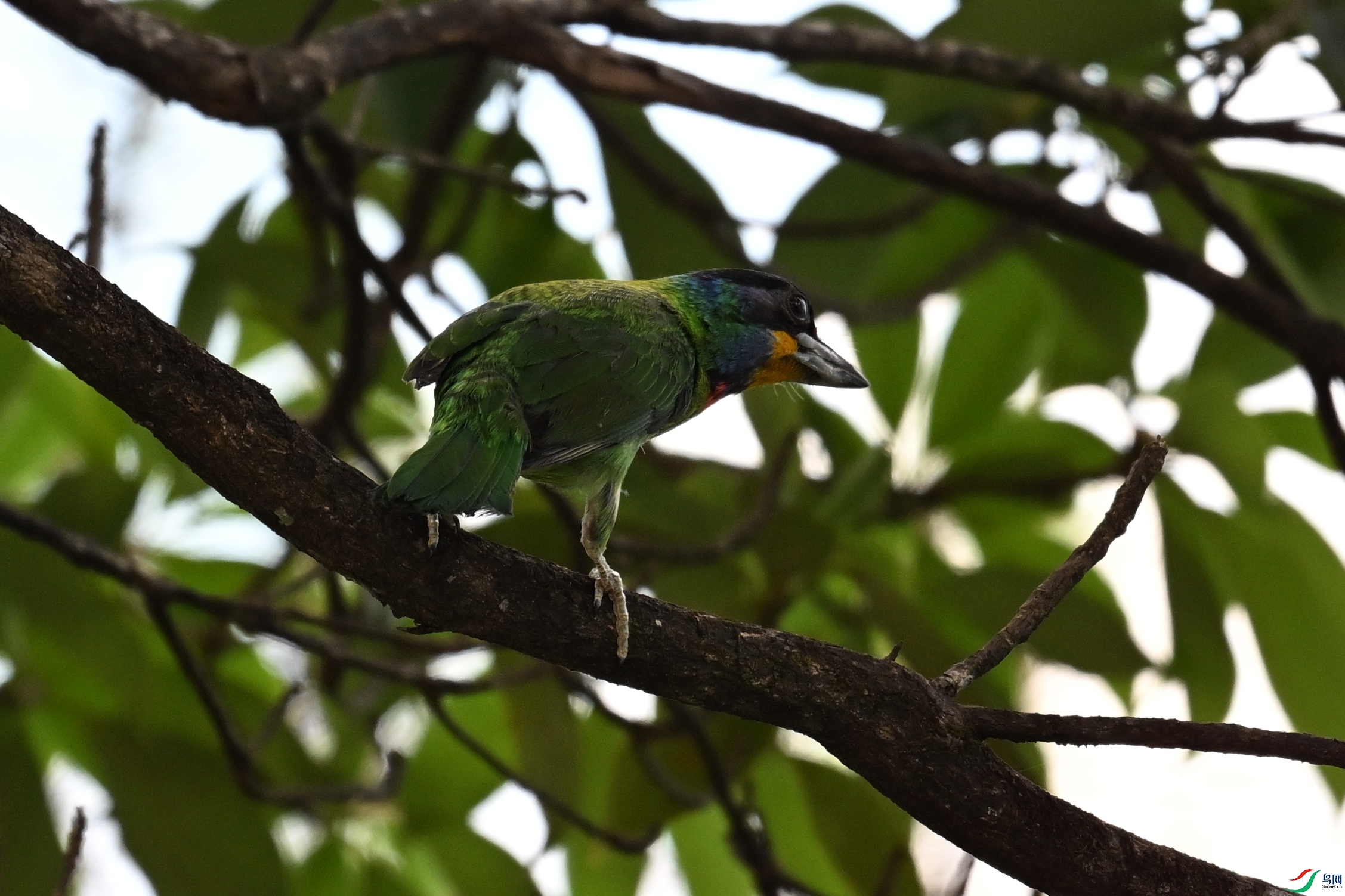 DSC_1743.JPG