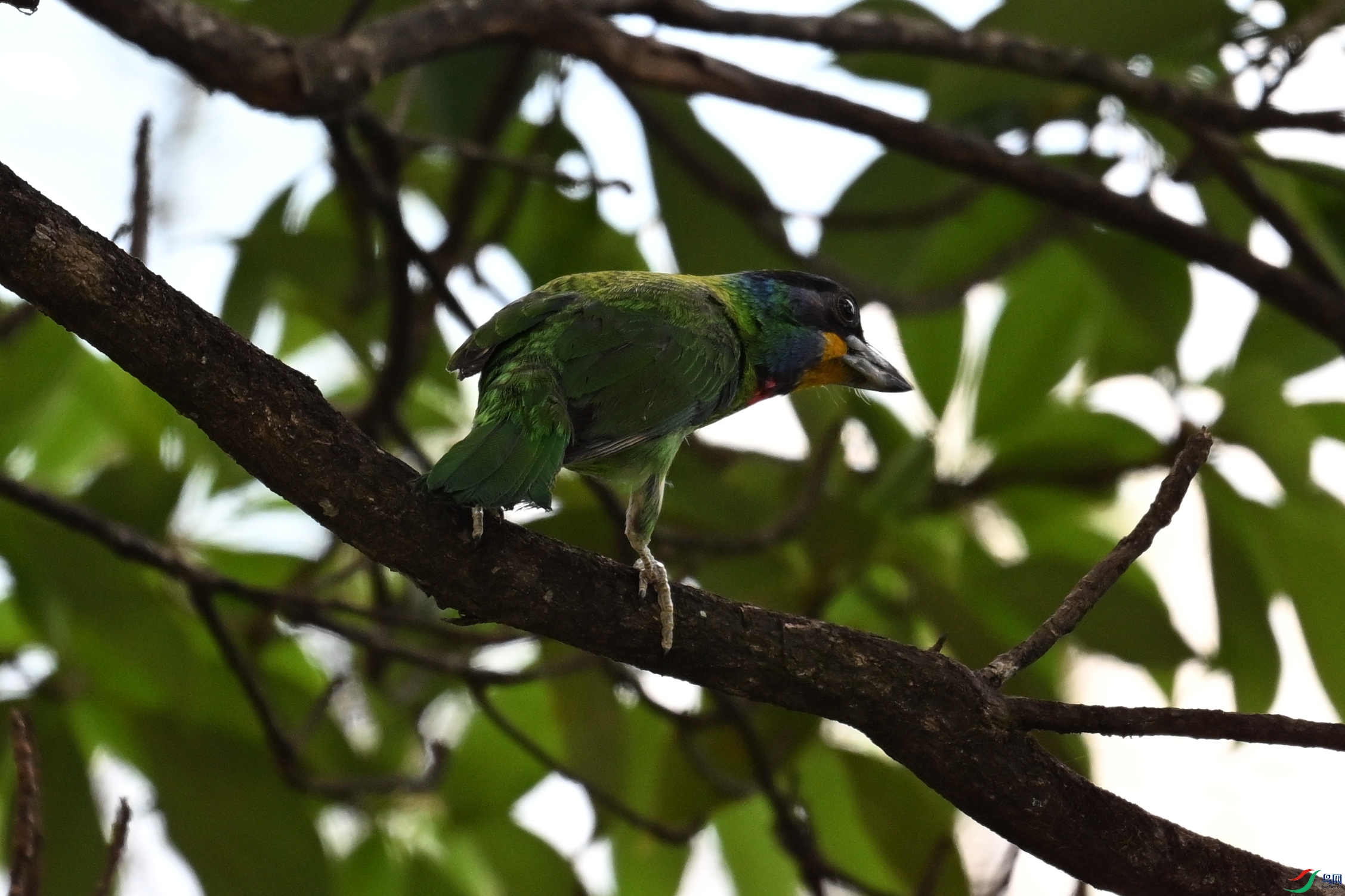 DSC_1744.JPG
