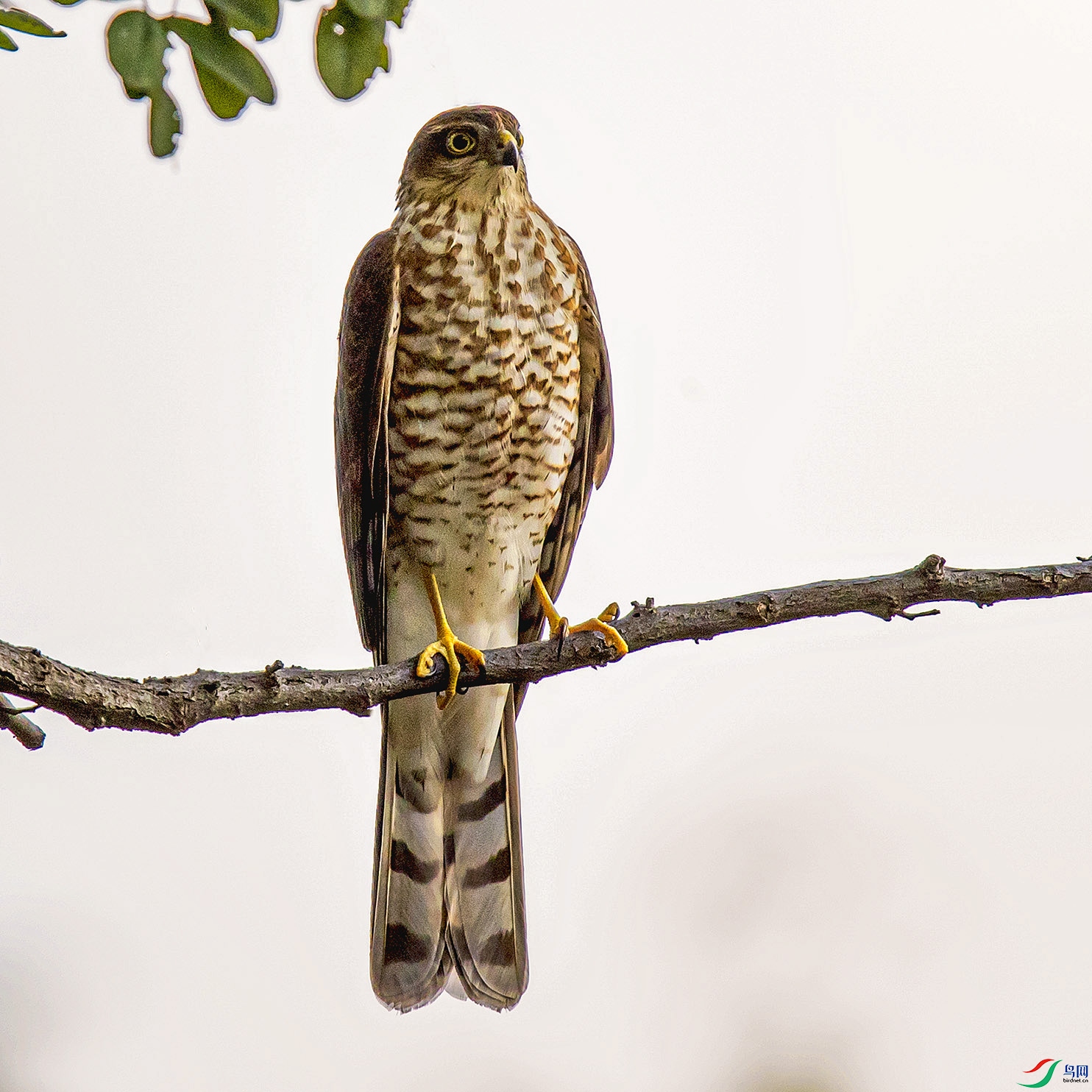 _90I6423 ���� 2.jpg