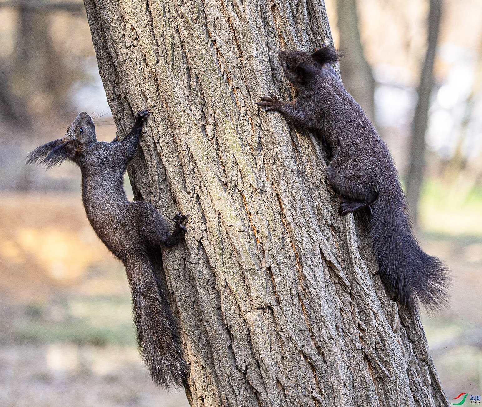 _MG_8009 ���� 2.jpg