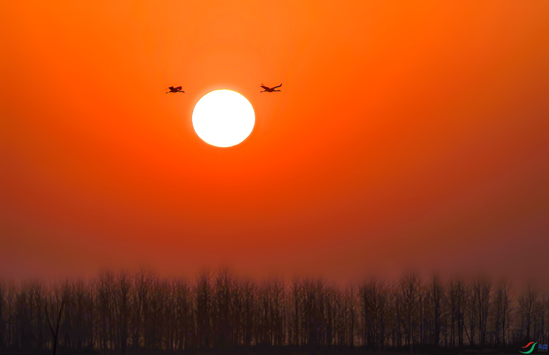 _60A9390-----333  .jpg