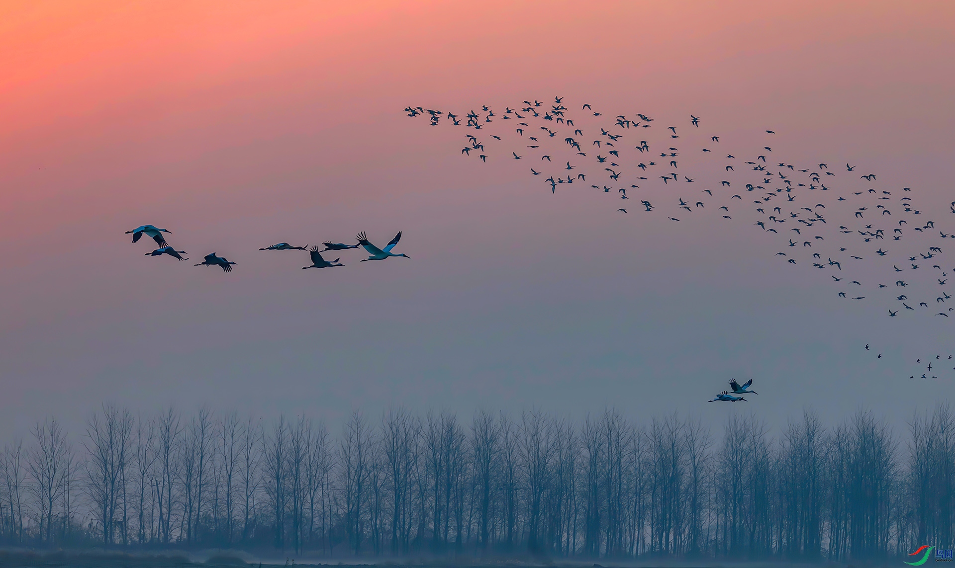 _60A7807-----33  .jpg