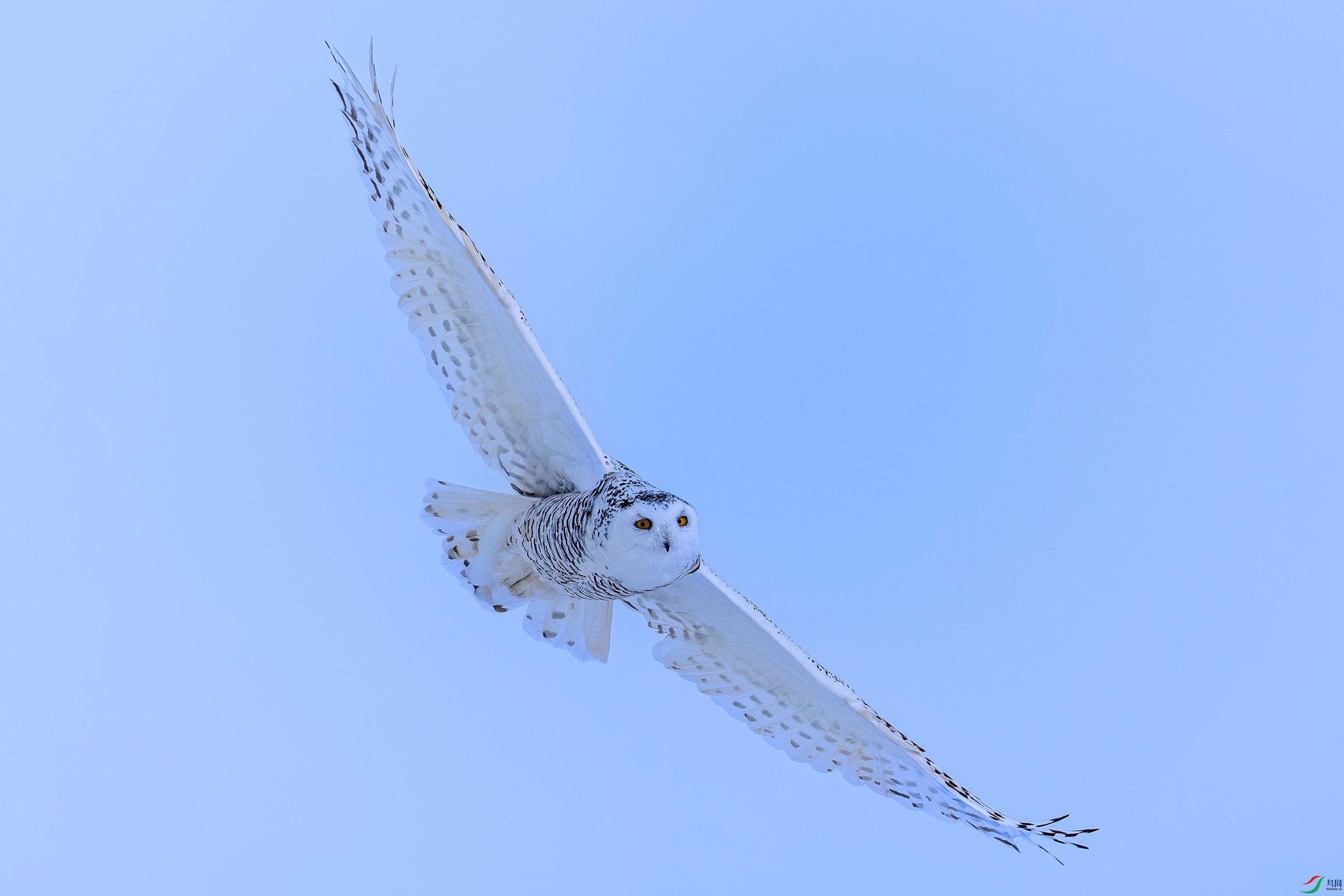 _72A3152-����ǿ-NR.JPG