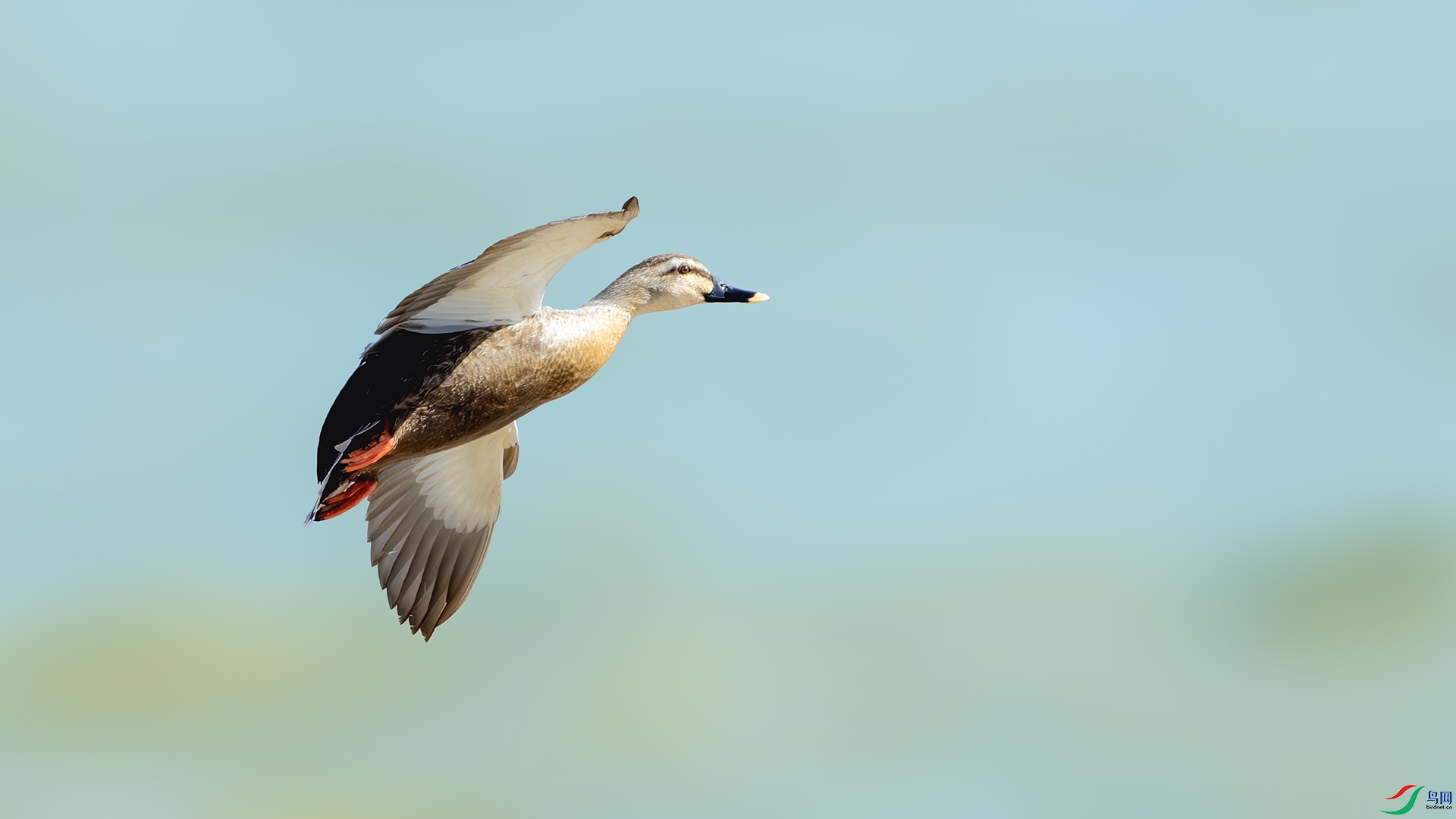 DSC_5576-����ǿ-NR-2 ����.jpg