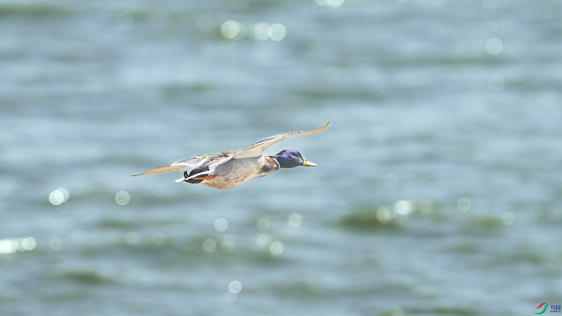 DSC_5638 ���� 2.jpg