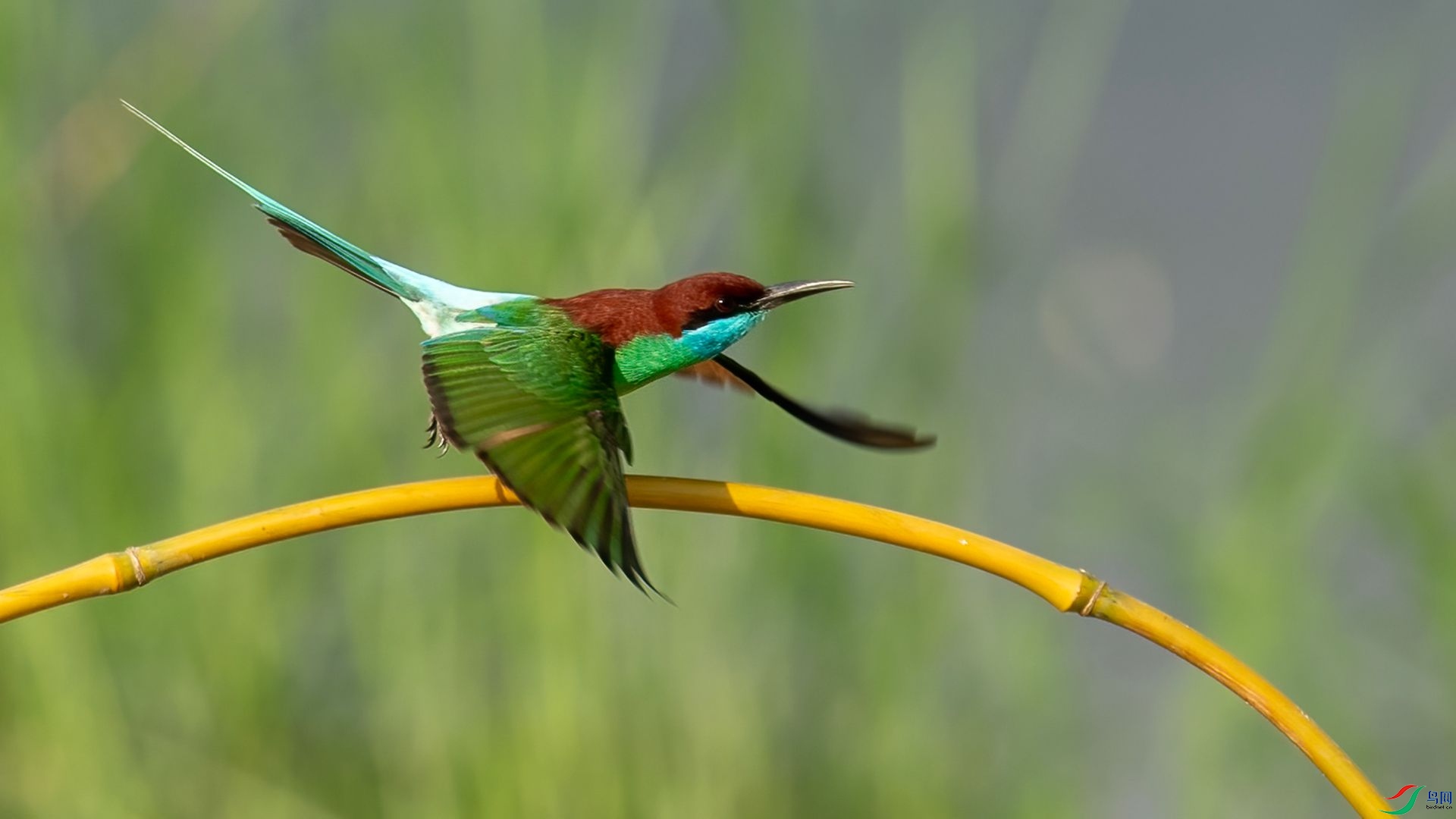 _DSC7356 ����.jpg