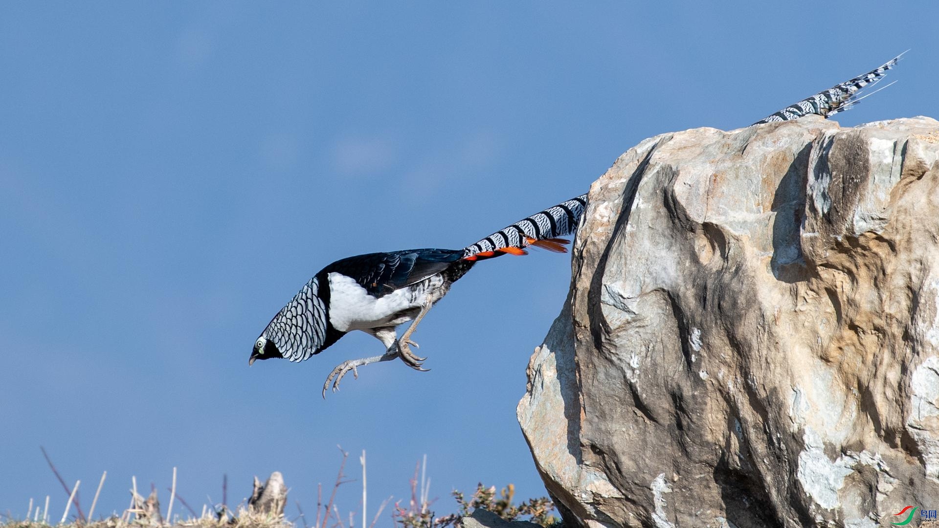 WGB_2270 ����.jpg