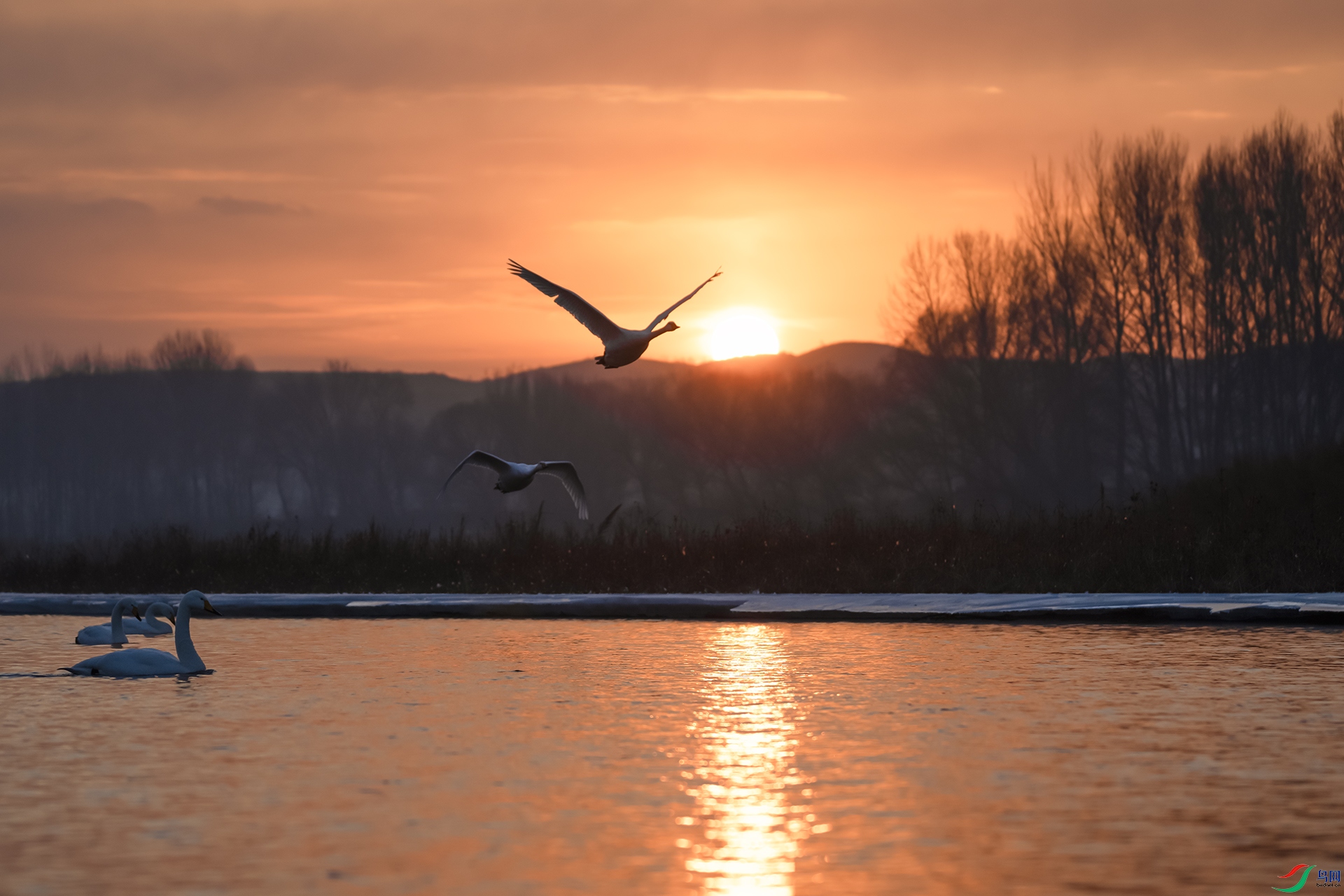 DSC08563 ����.jpg