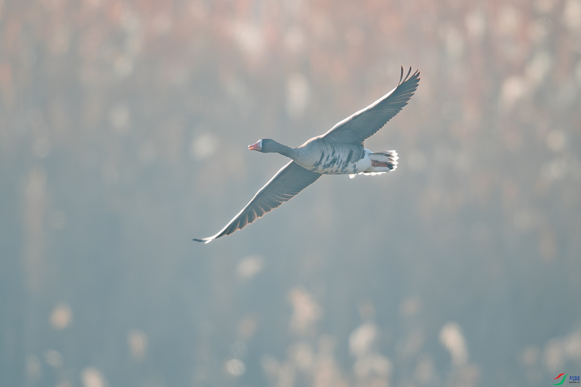 DSC_7577.jpg