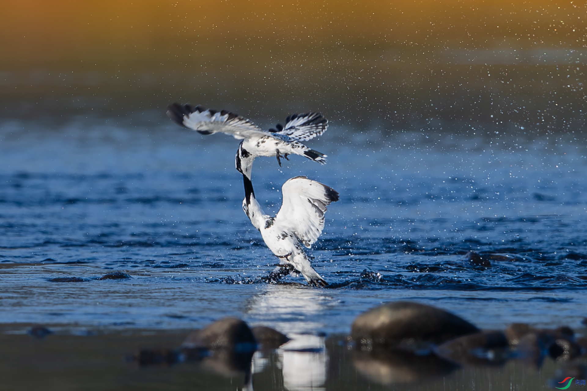 _U3I0346 ����.jpg