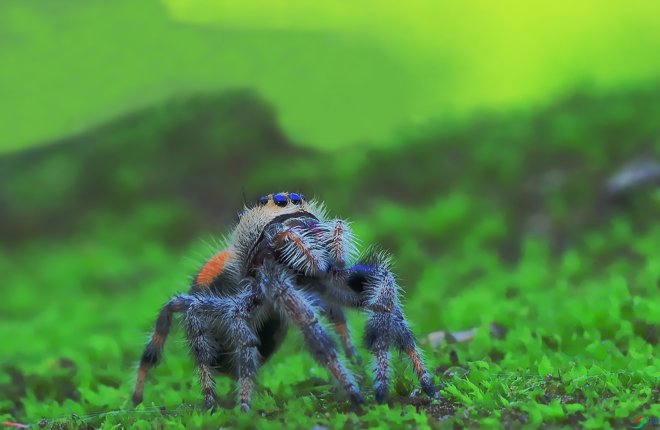 7T8A0930_����.jpg