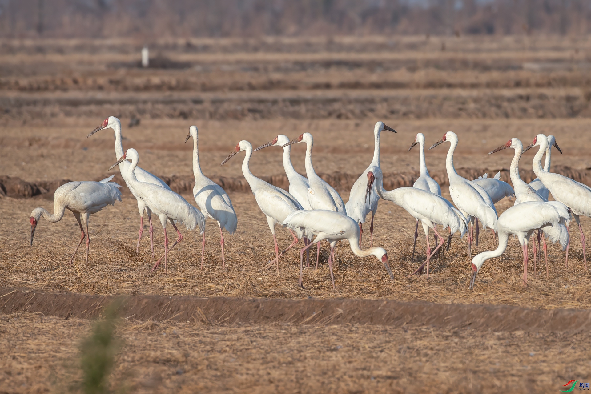 B86I1138 _����.jpg