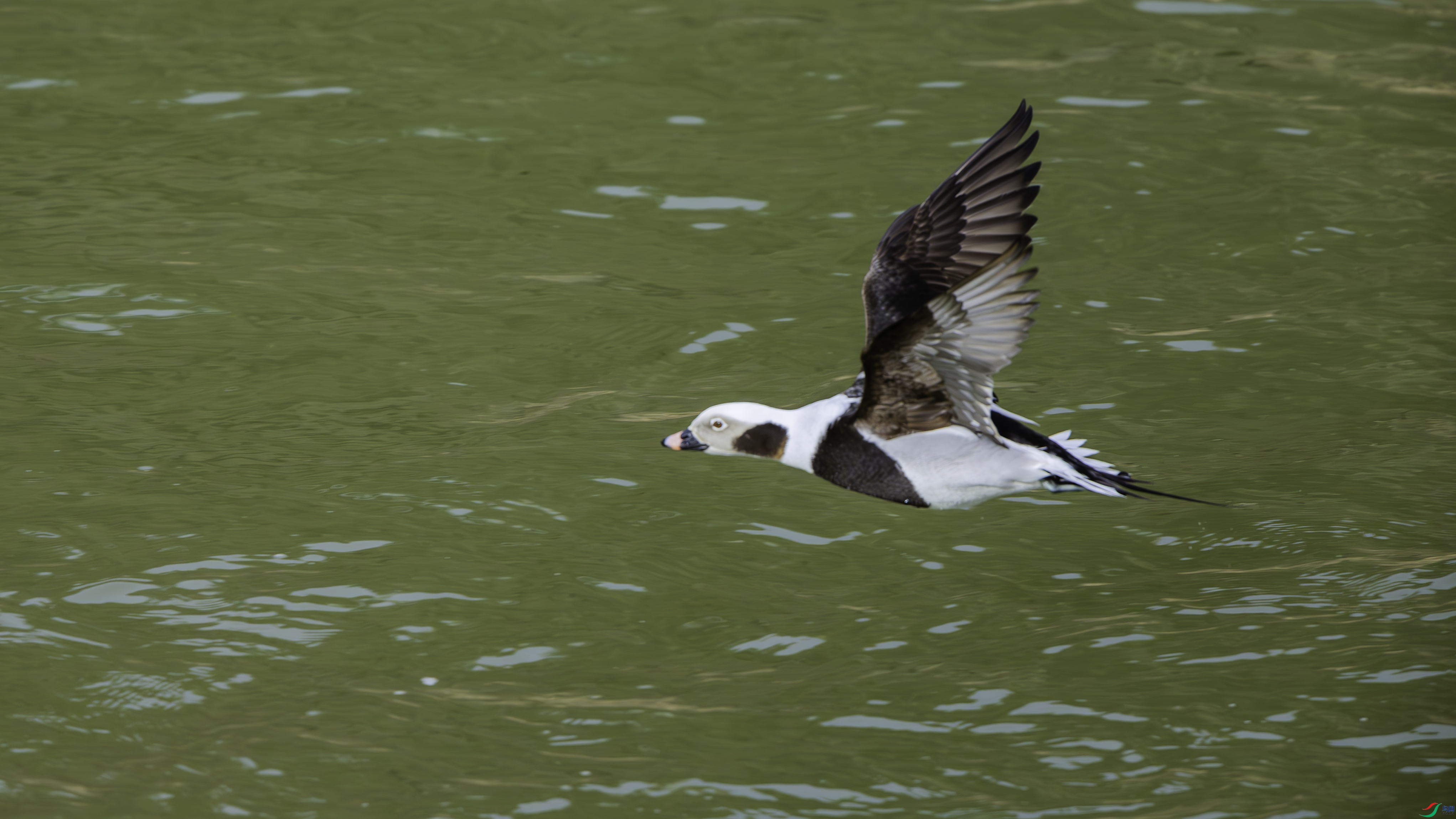 _O7A0299-����ǿ-NR ����.jpg