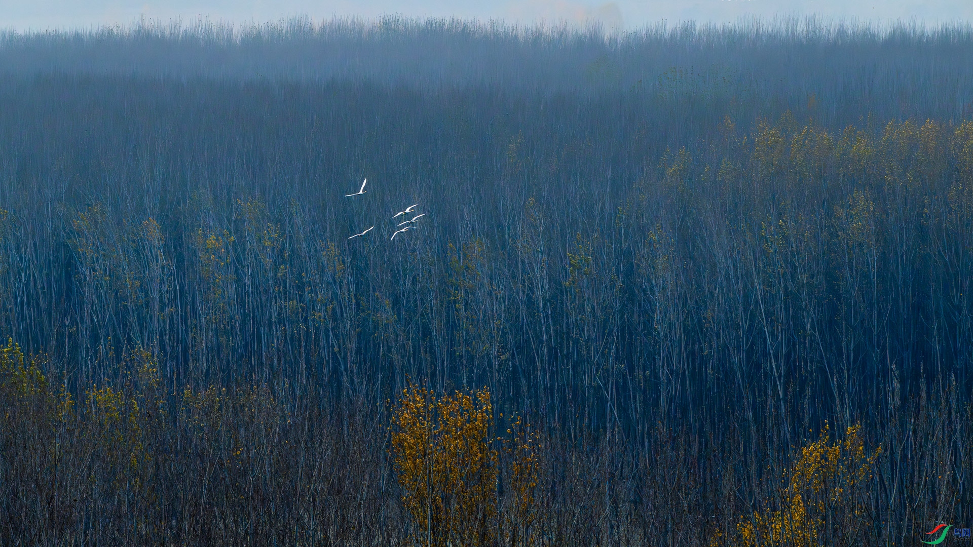 _DSC2585.jpg
