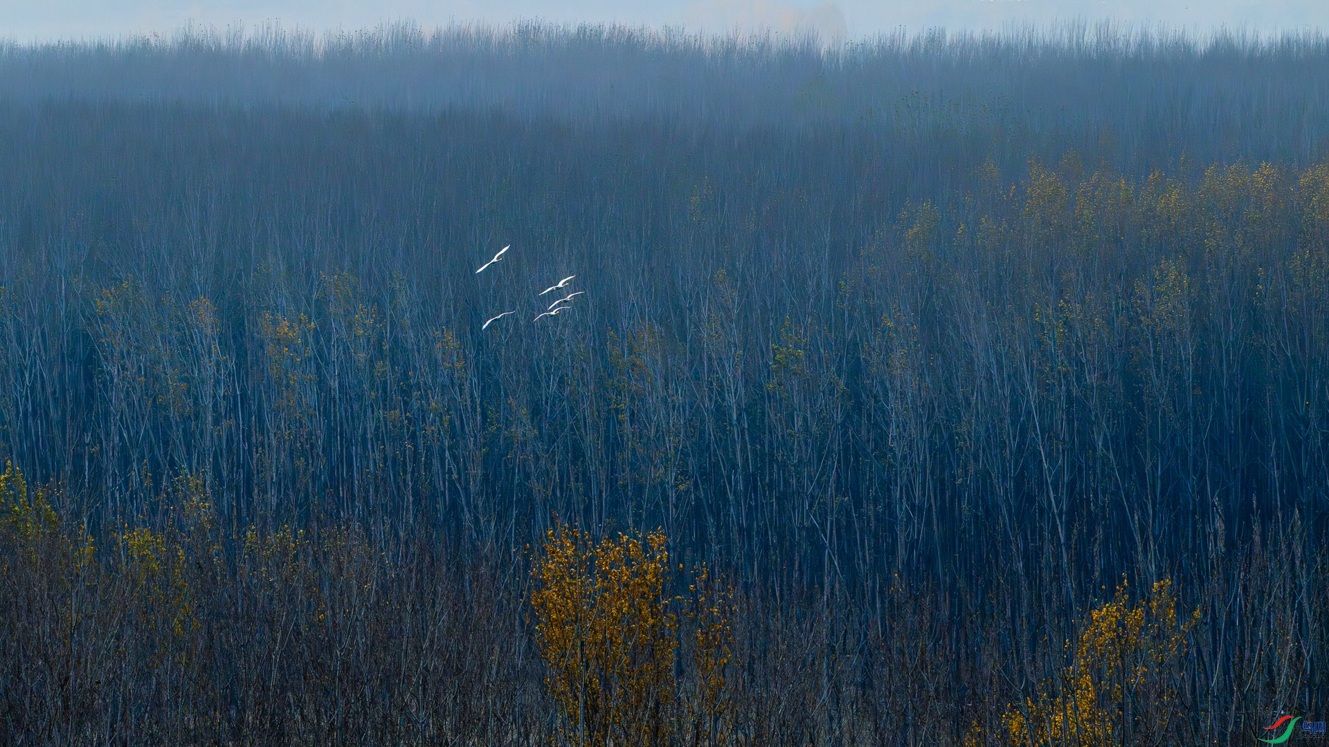 _DSC2586.jpg