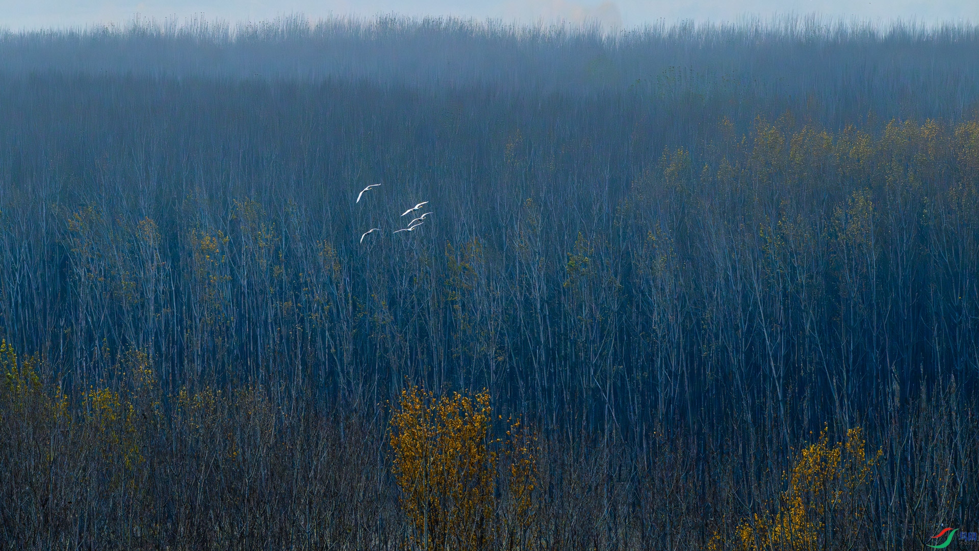 _DSC2587.jpg
