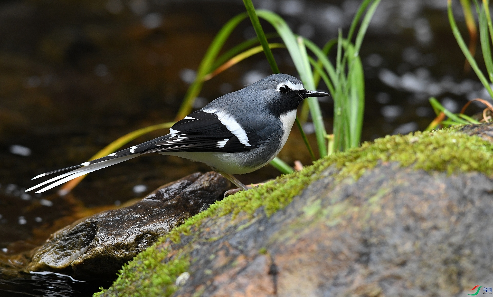 DSC_4928.jpg