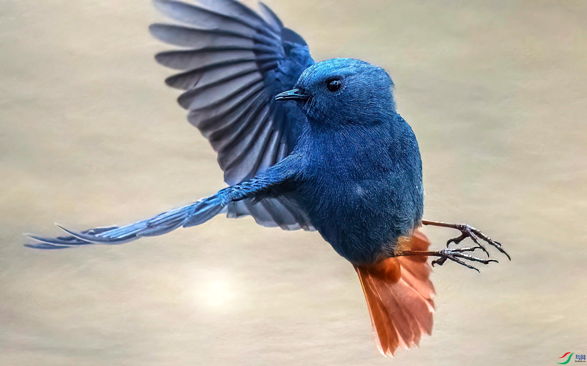 DSC_7238 ����-SharpenAI-motion11   .jpg