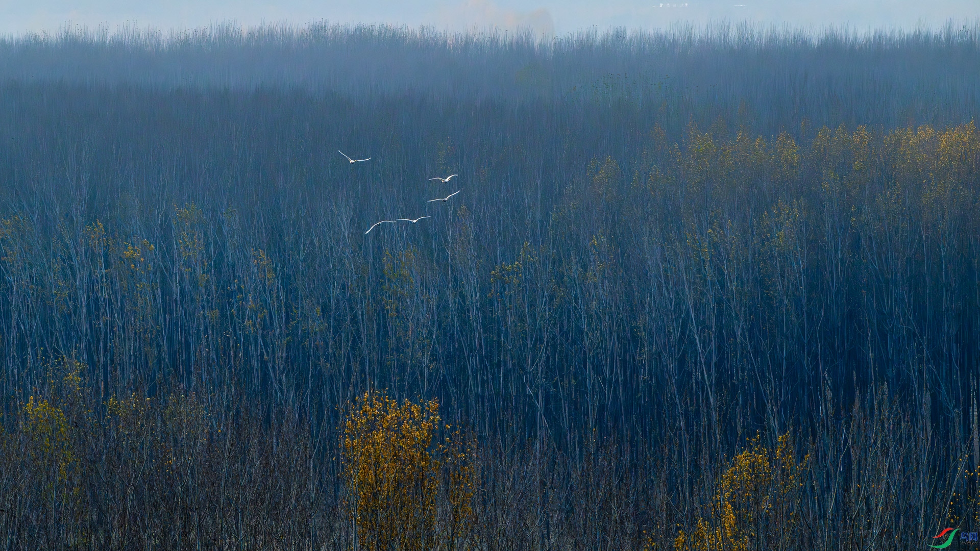 _DSC2607.jpg