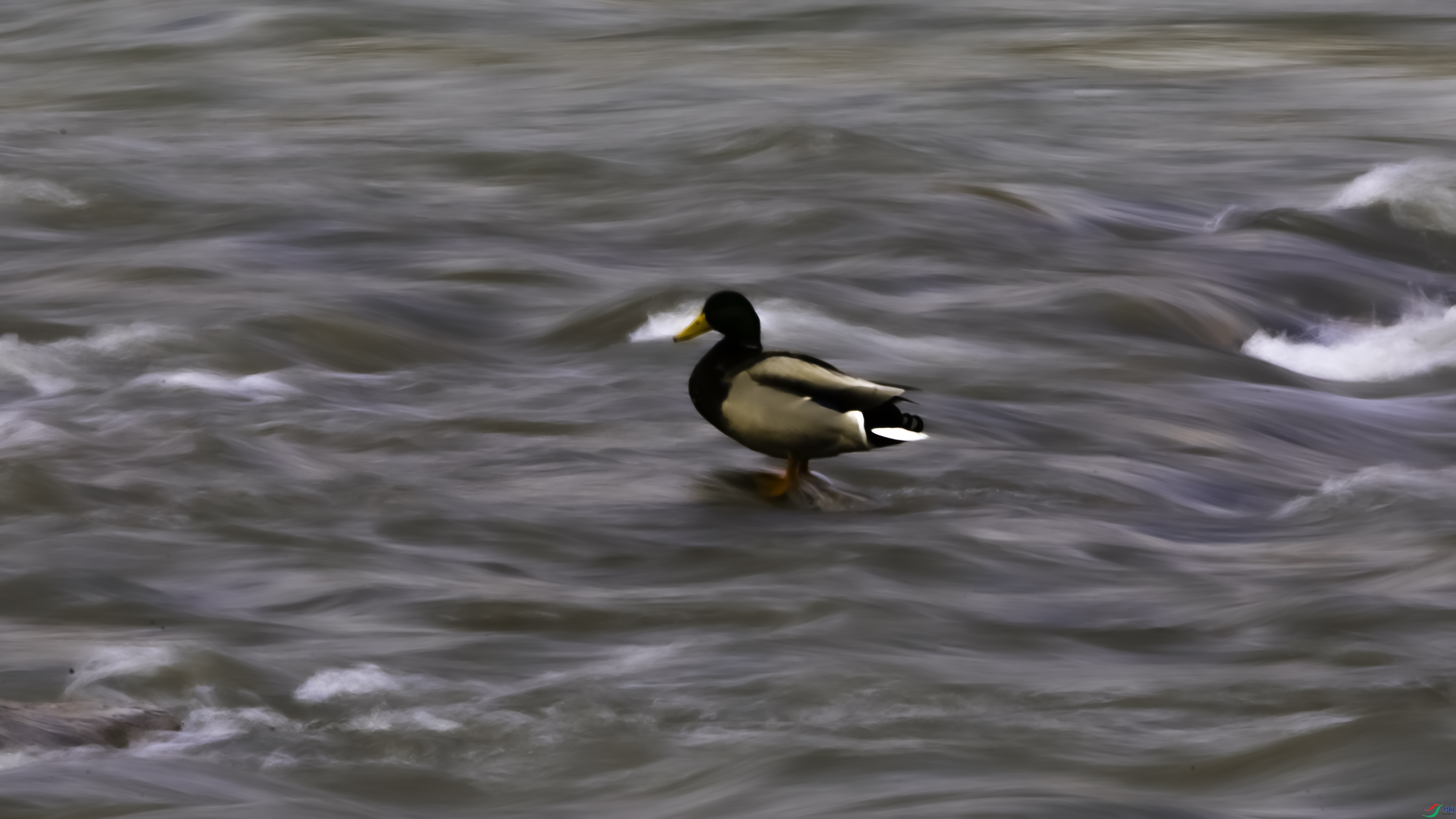 _O7A07993333.jpg