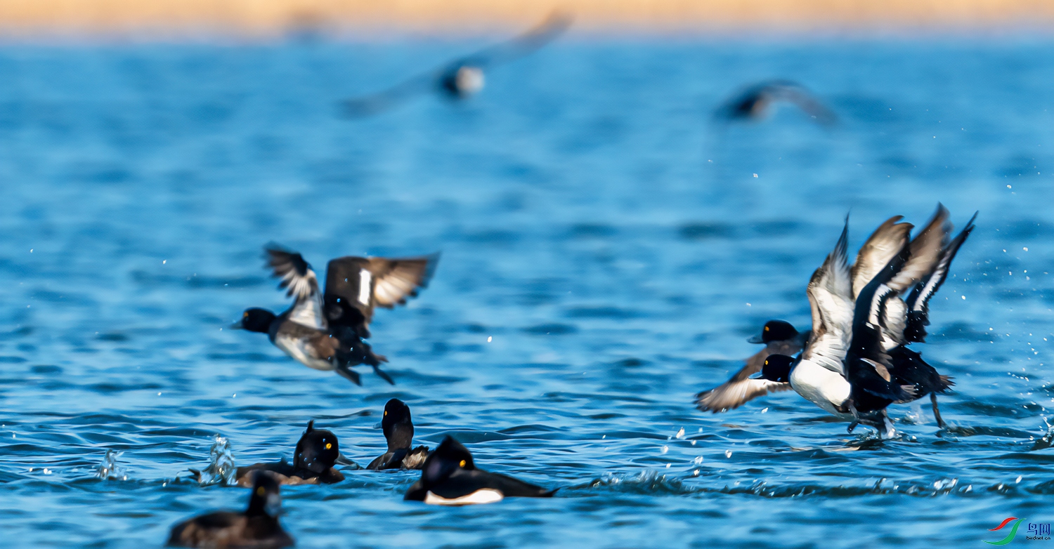 DSC_7045-21.jpg