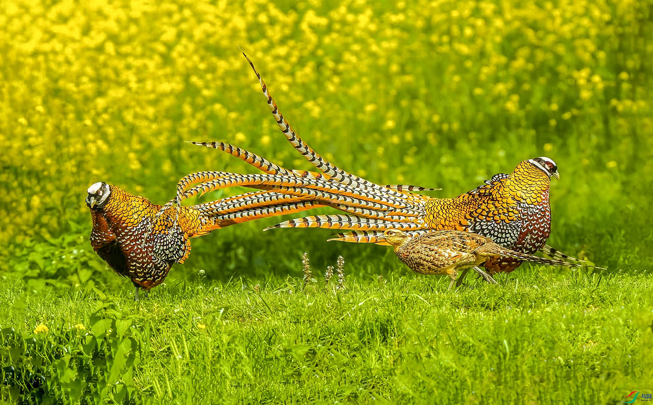 �׹� ���� 2.jpg