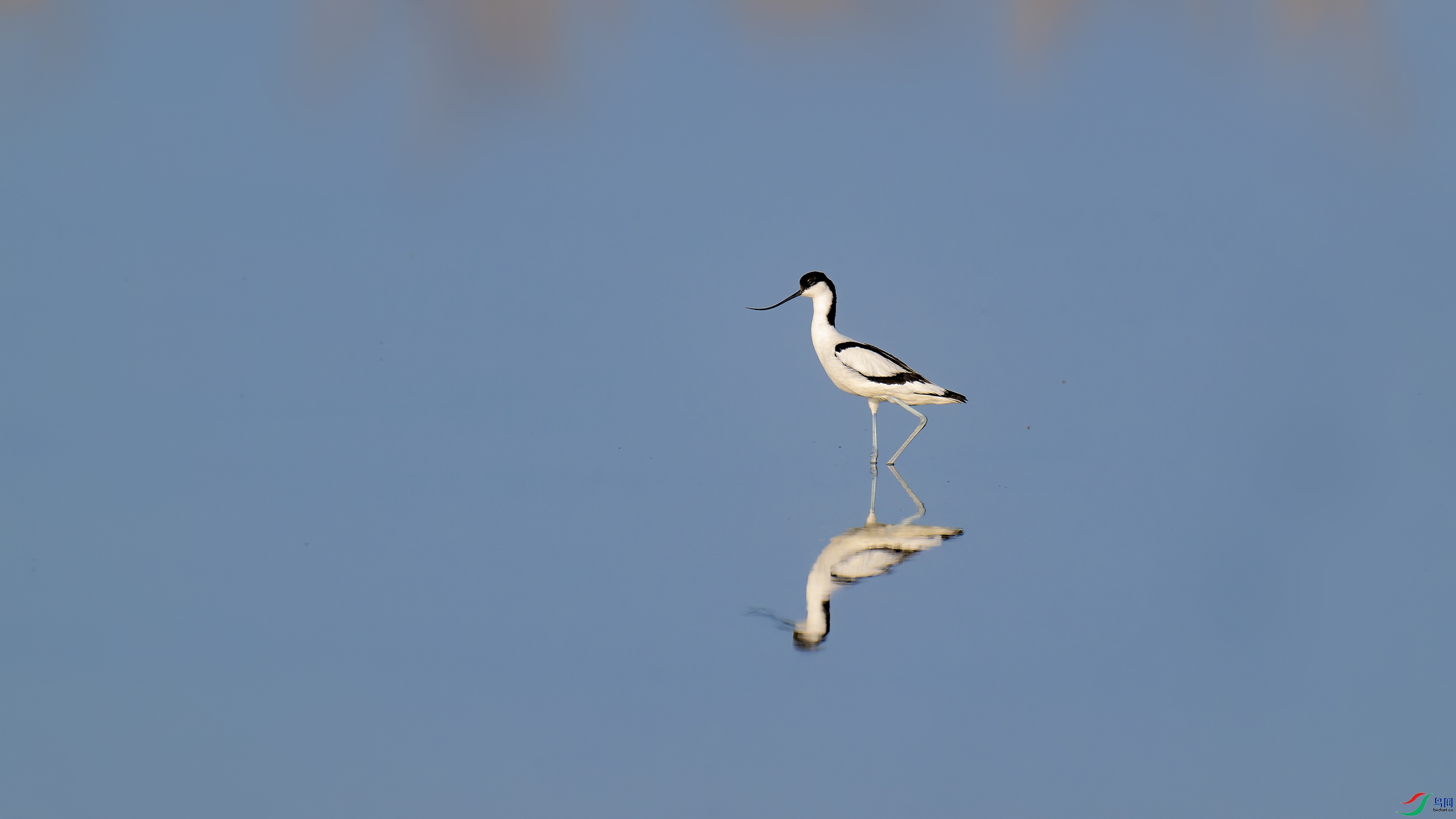DSC_4549_DxO2.jpg