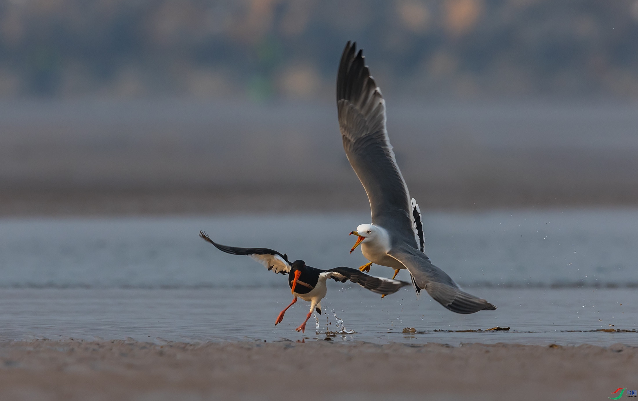 ��βŸ������