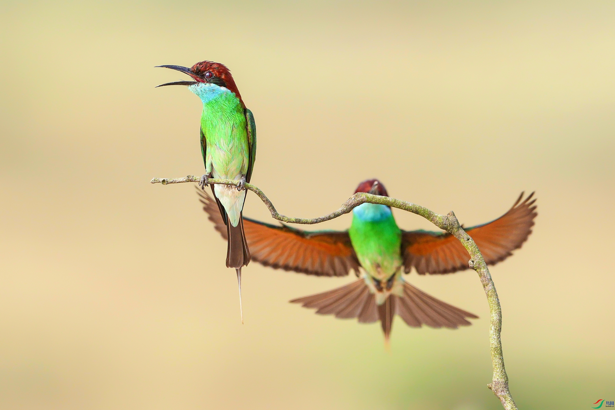 Picture 46214005.jpg