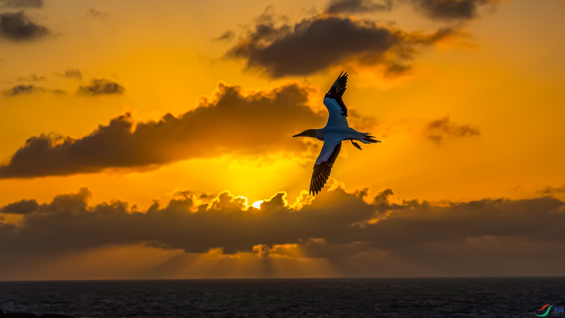 _M8A3538-����ǿ-NR.jpg