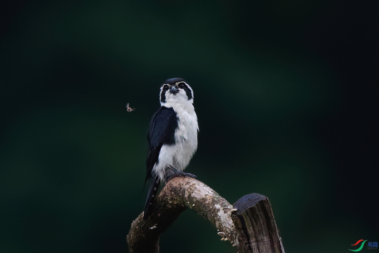 DSC_0067_DxO.jpg