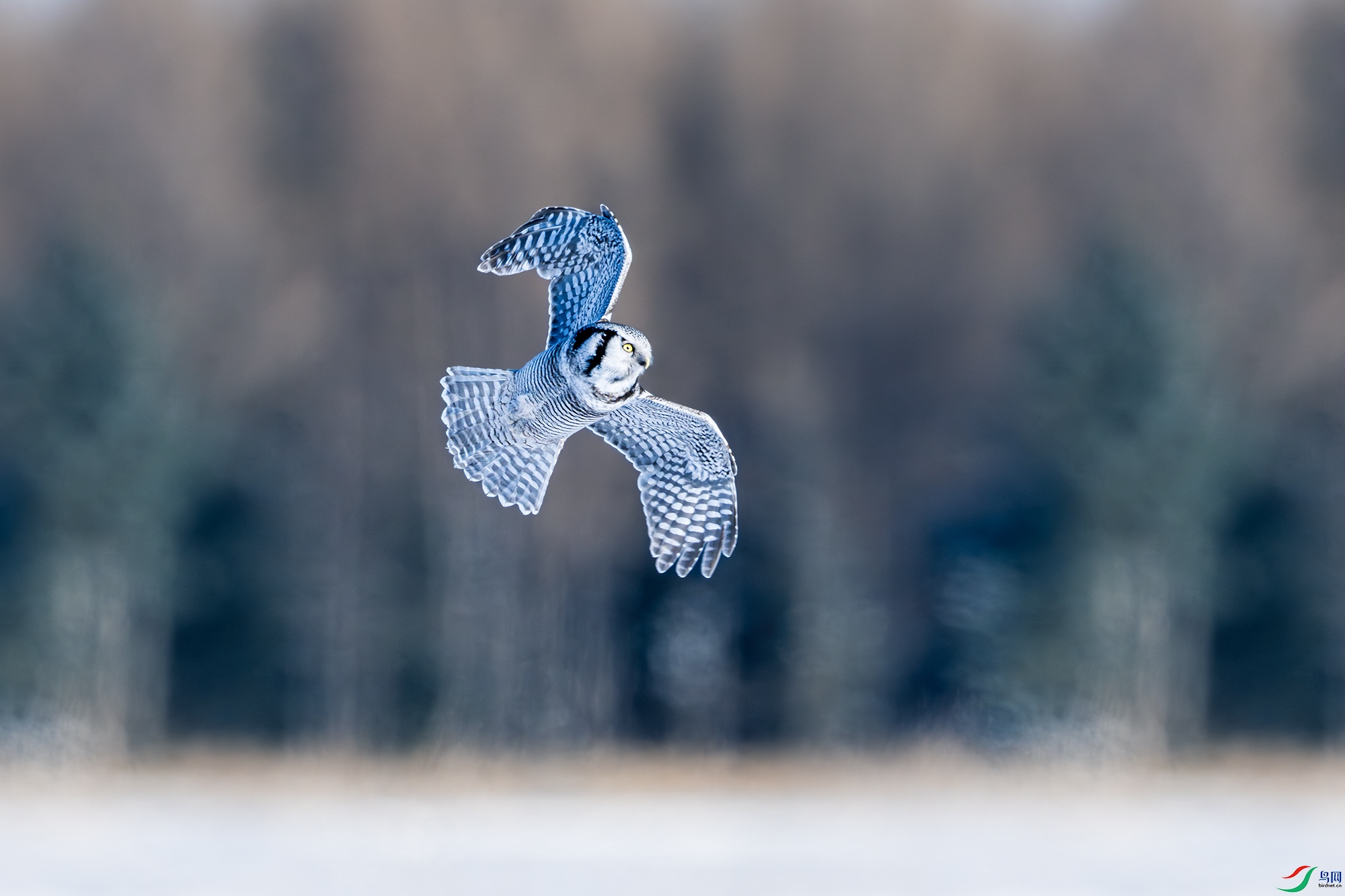 _DSC2075 ����С.jpg