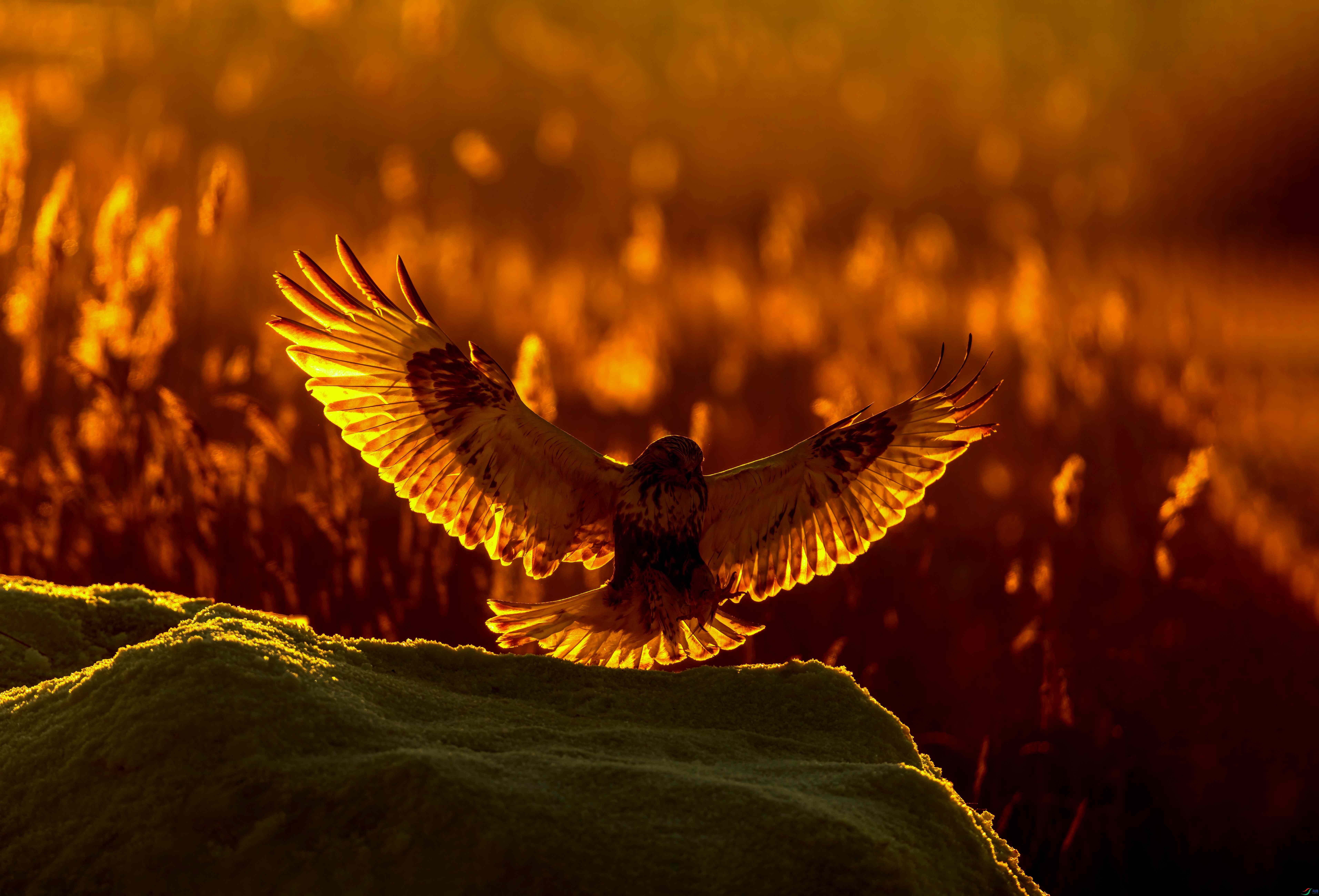 _B9A7053 ����_����.jpg