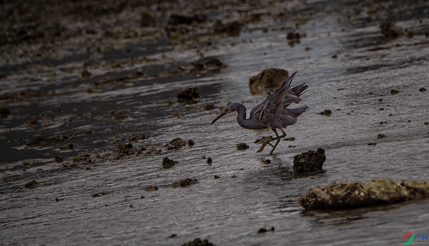 _DSC7279-����ǿ-NR ����.jpg