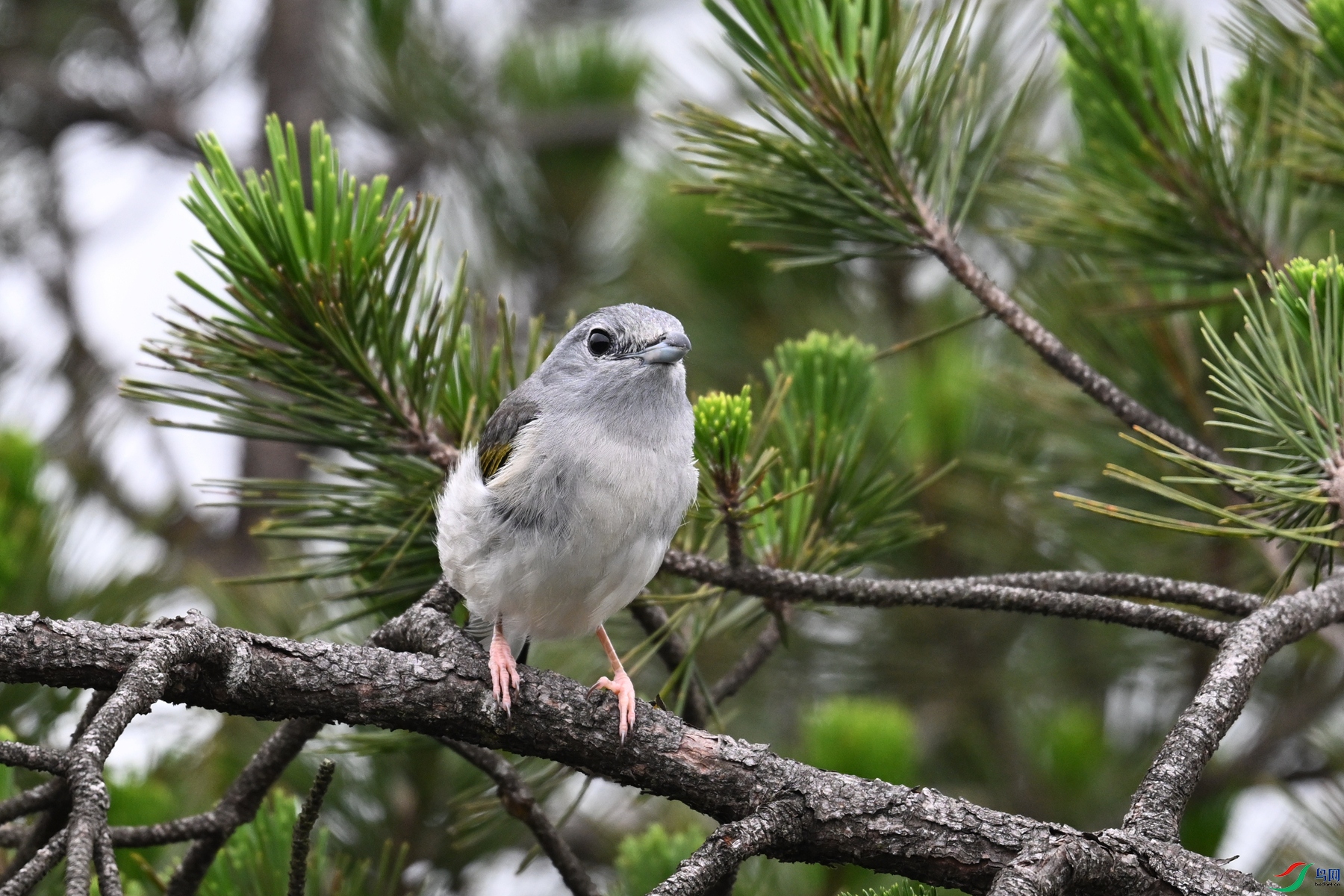 DSC_0854.JPG