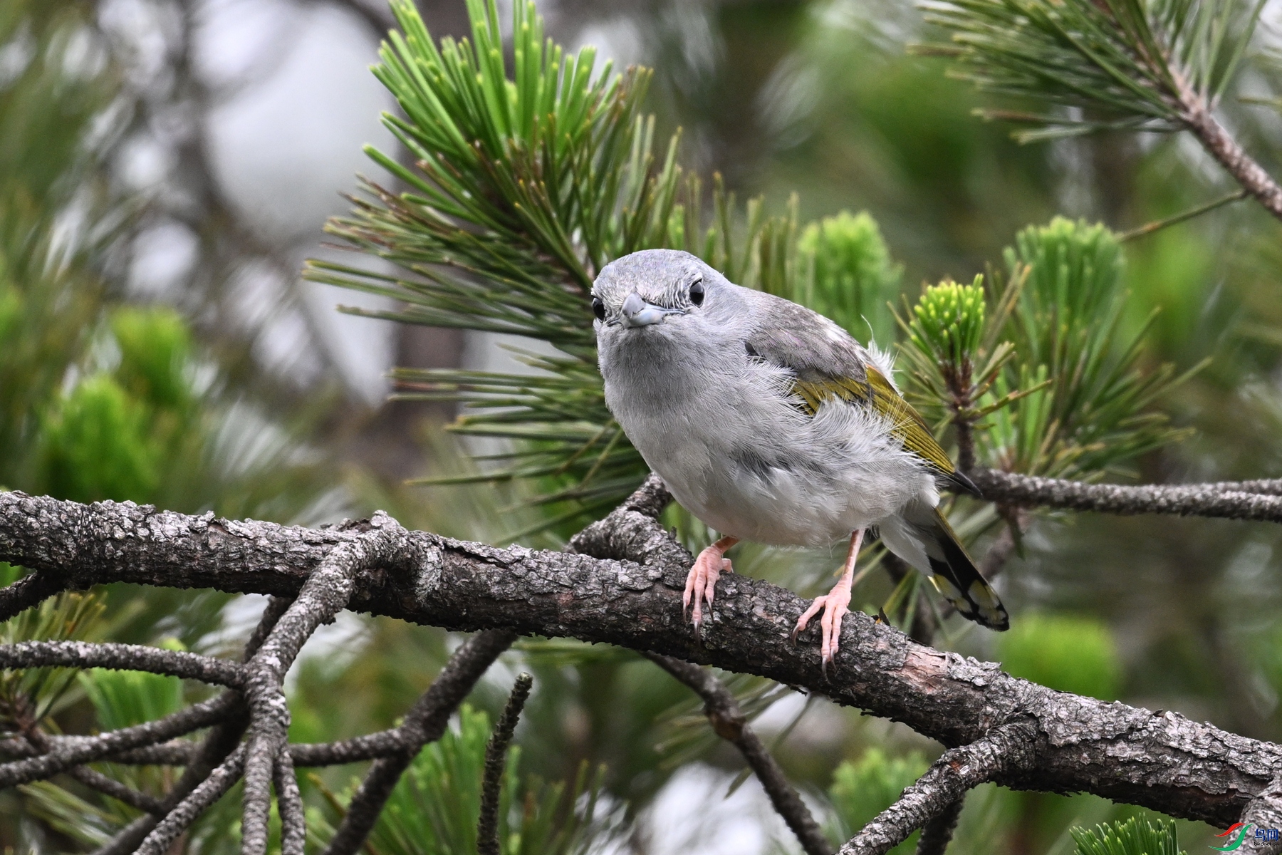 DSC_0818.JPG
