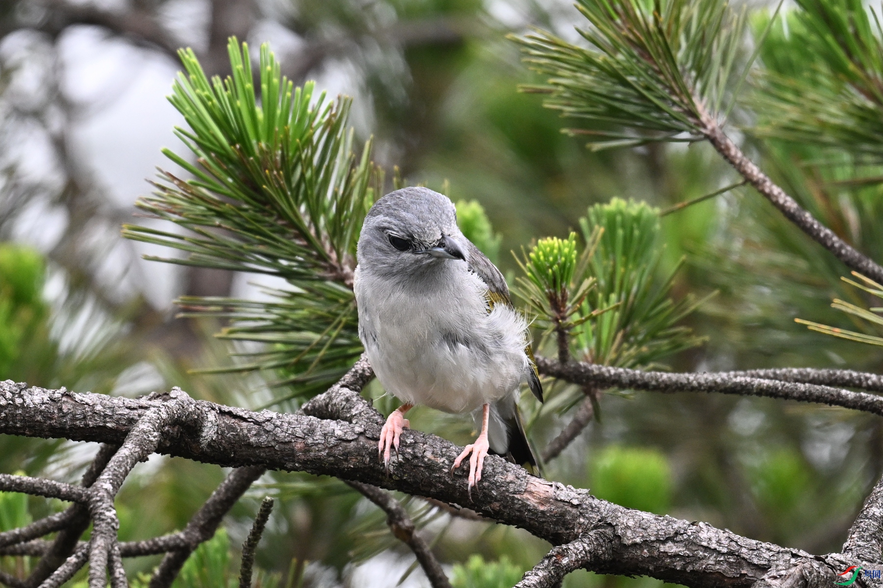 DSC_0826.JPG