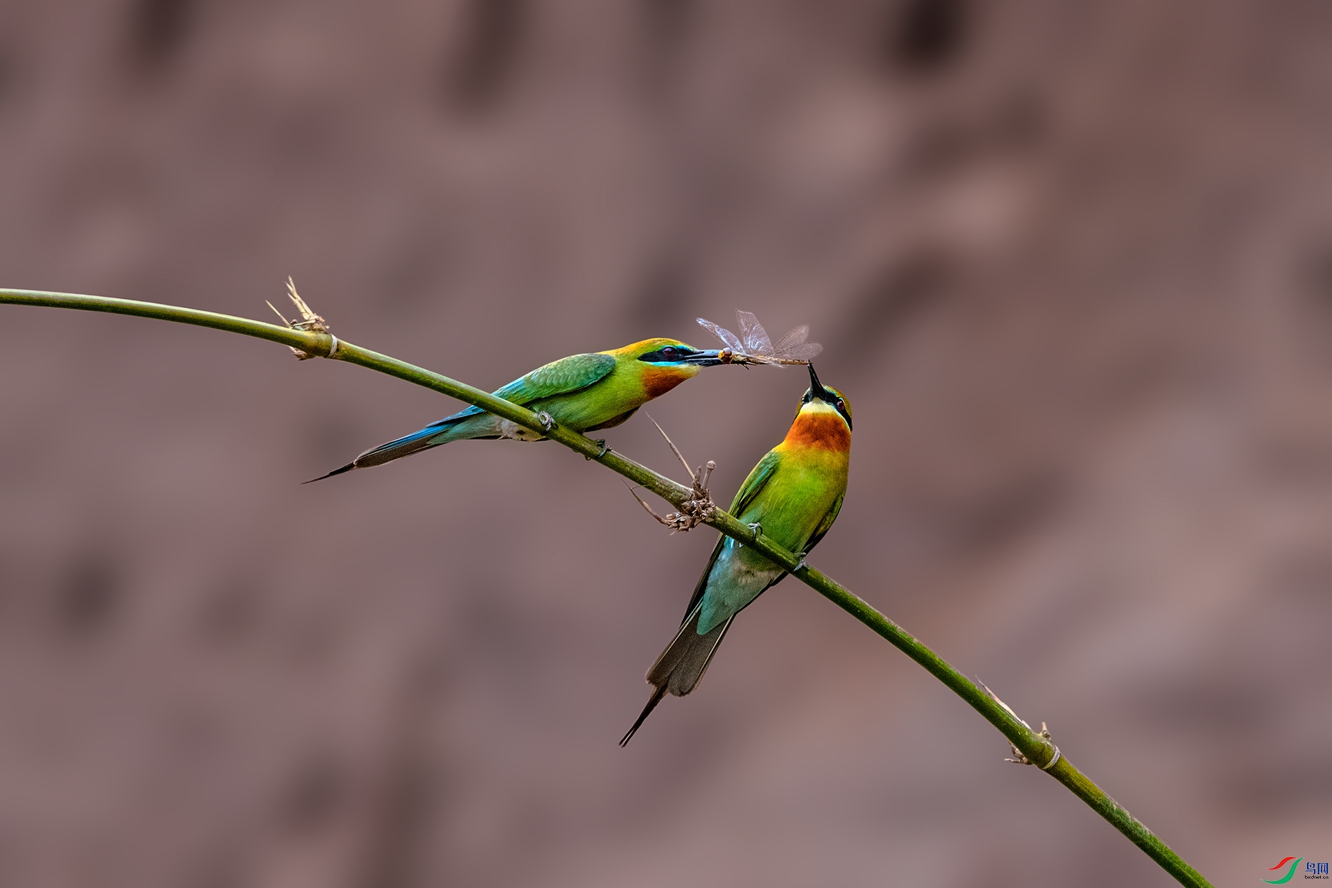 _AUU4090 �ö����׸�������(25.5.11).jpg