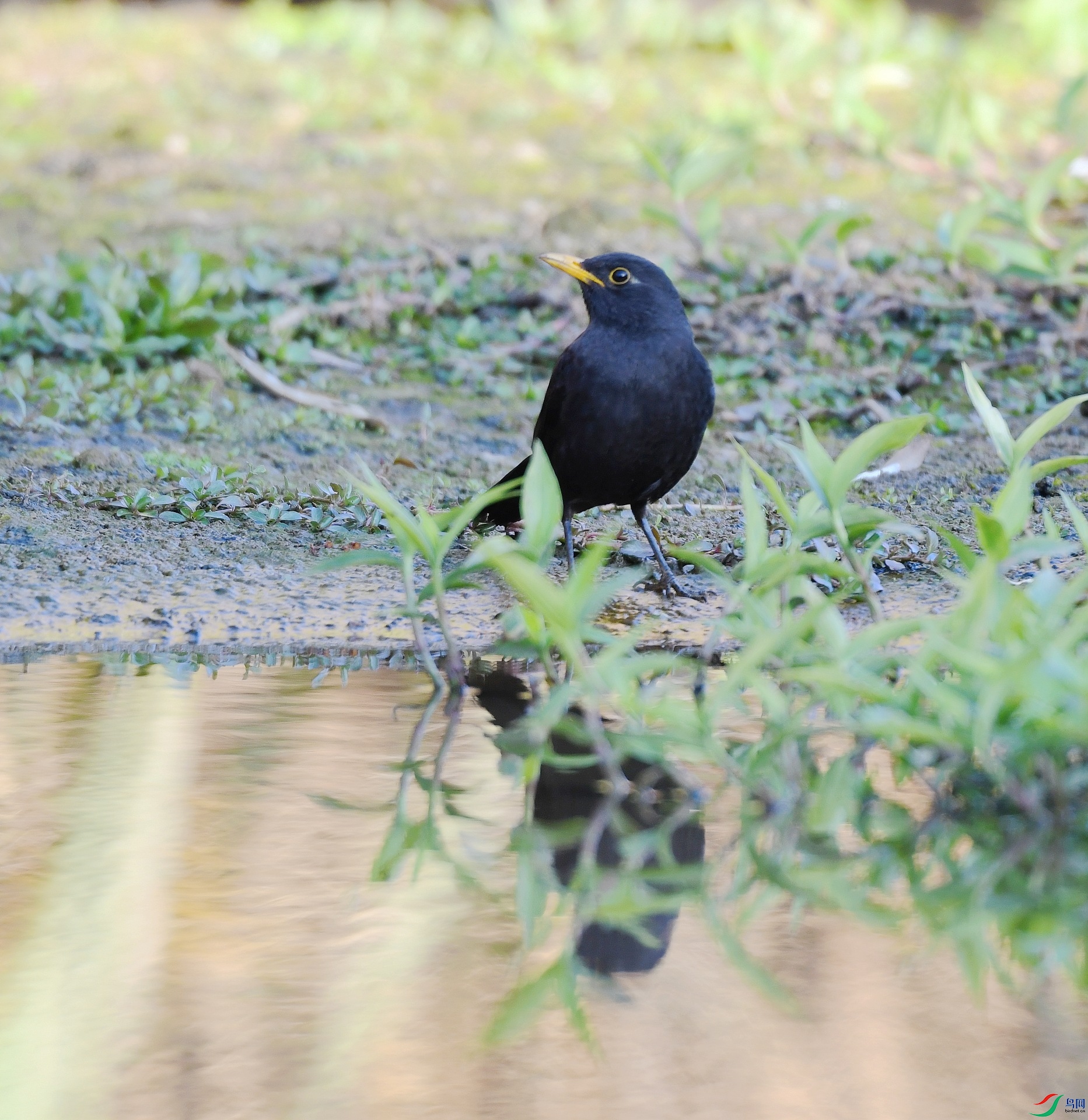 DSC_4308.jpg