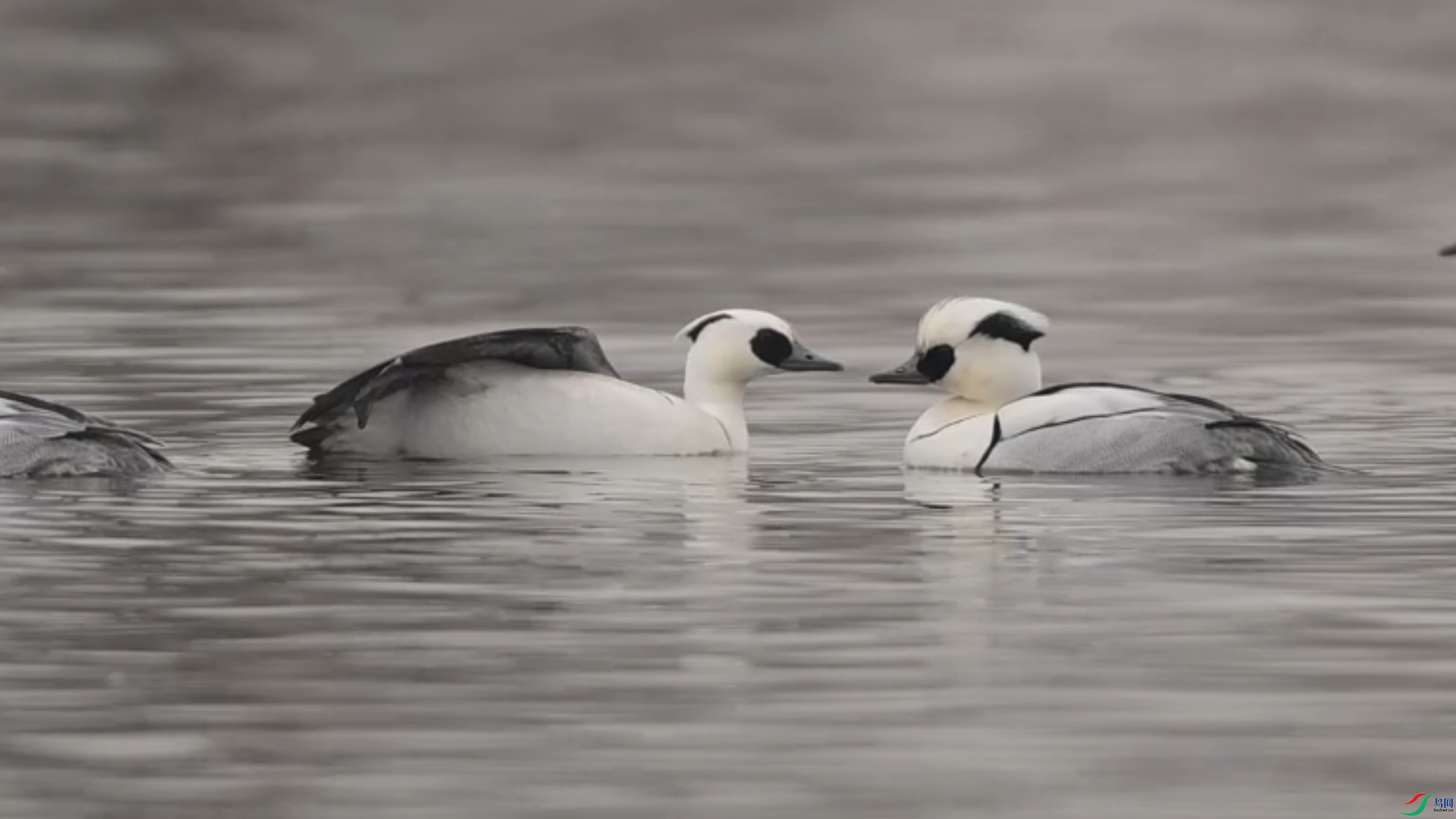 2��13�� (2).png