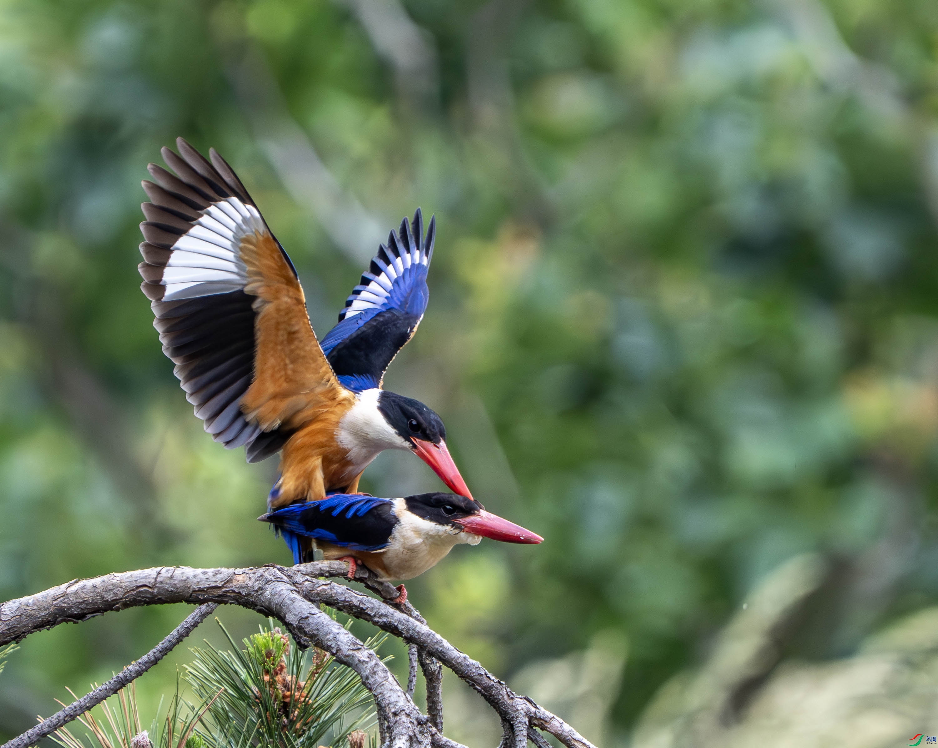 �����-23 (33).jpg