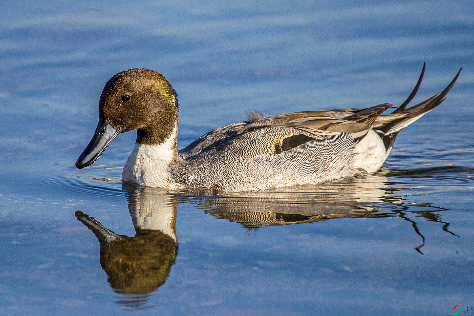 _MG_5680 ����.jpg