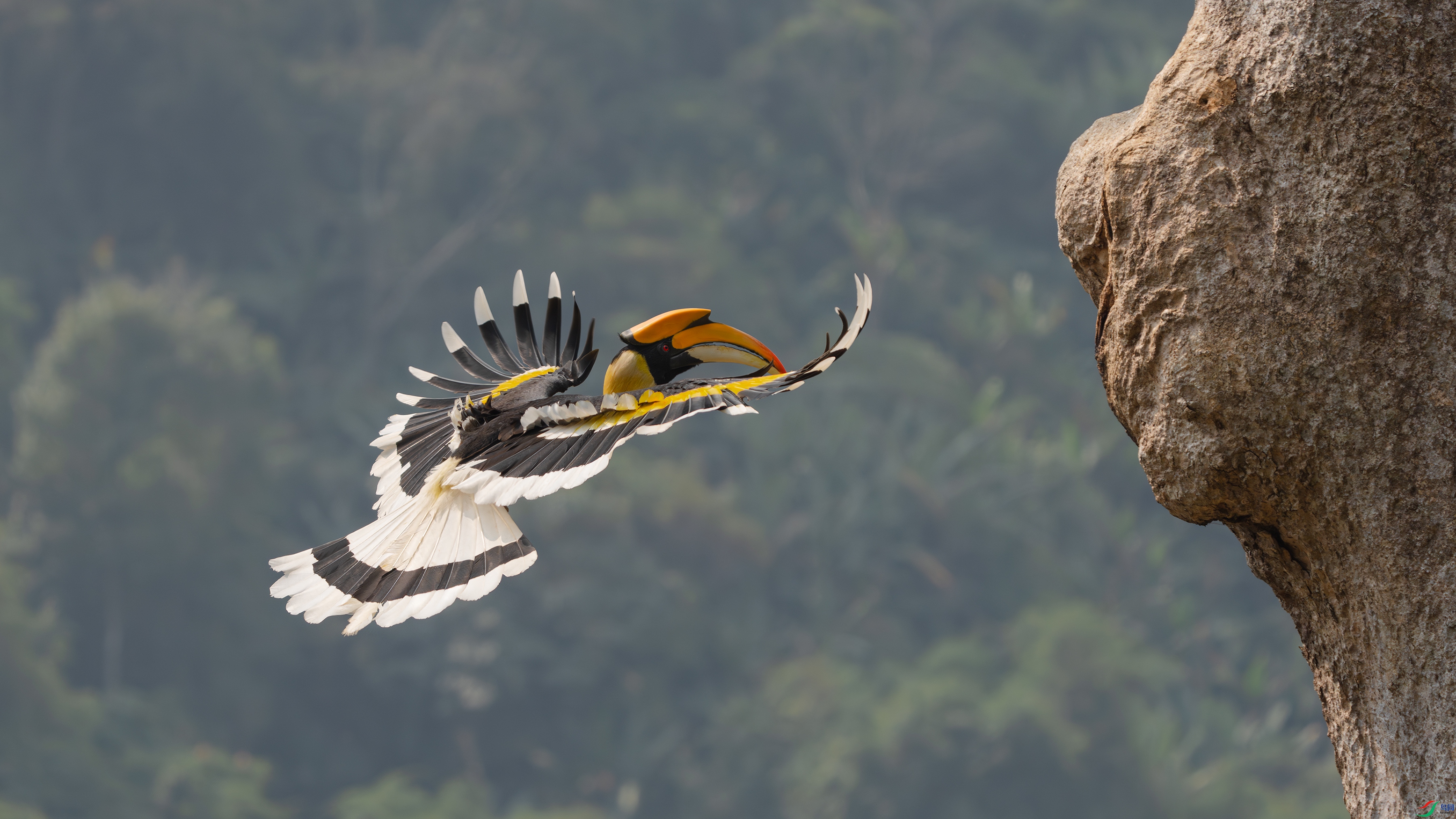 _DSC1432 ����.jpg